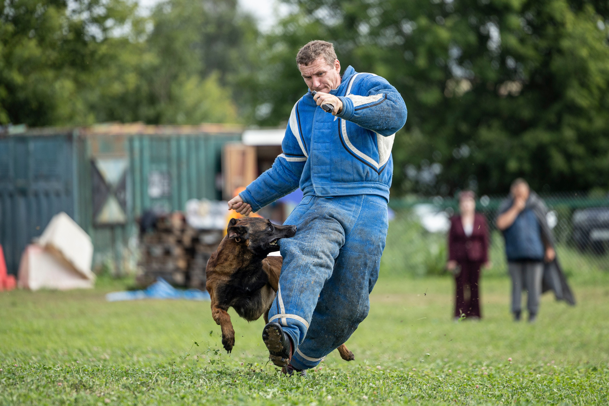 Соревнования по Мондьорингу г. Вологда 10-11.08.2024. Фотограф-анималист Анна Маринич