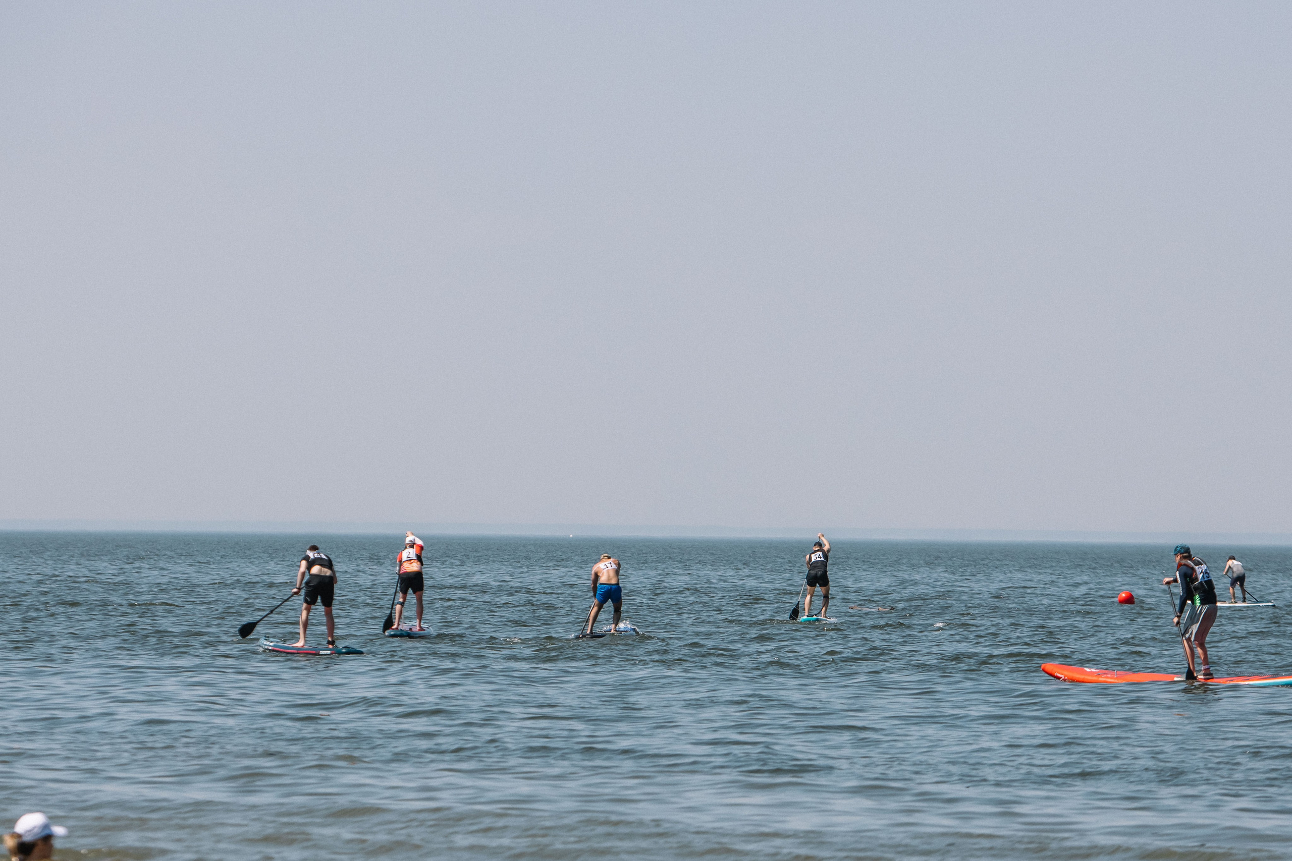 Чемпионат и первенство по НСО по серфингу. Репортажный фотограф в Новосибирске