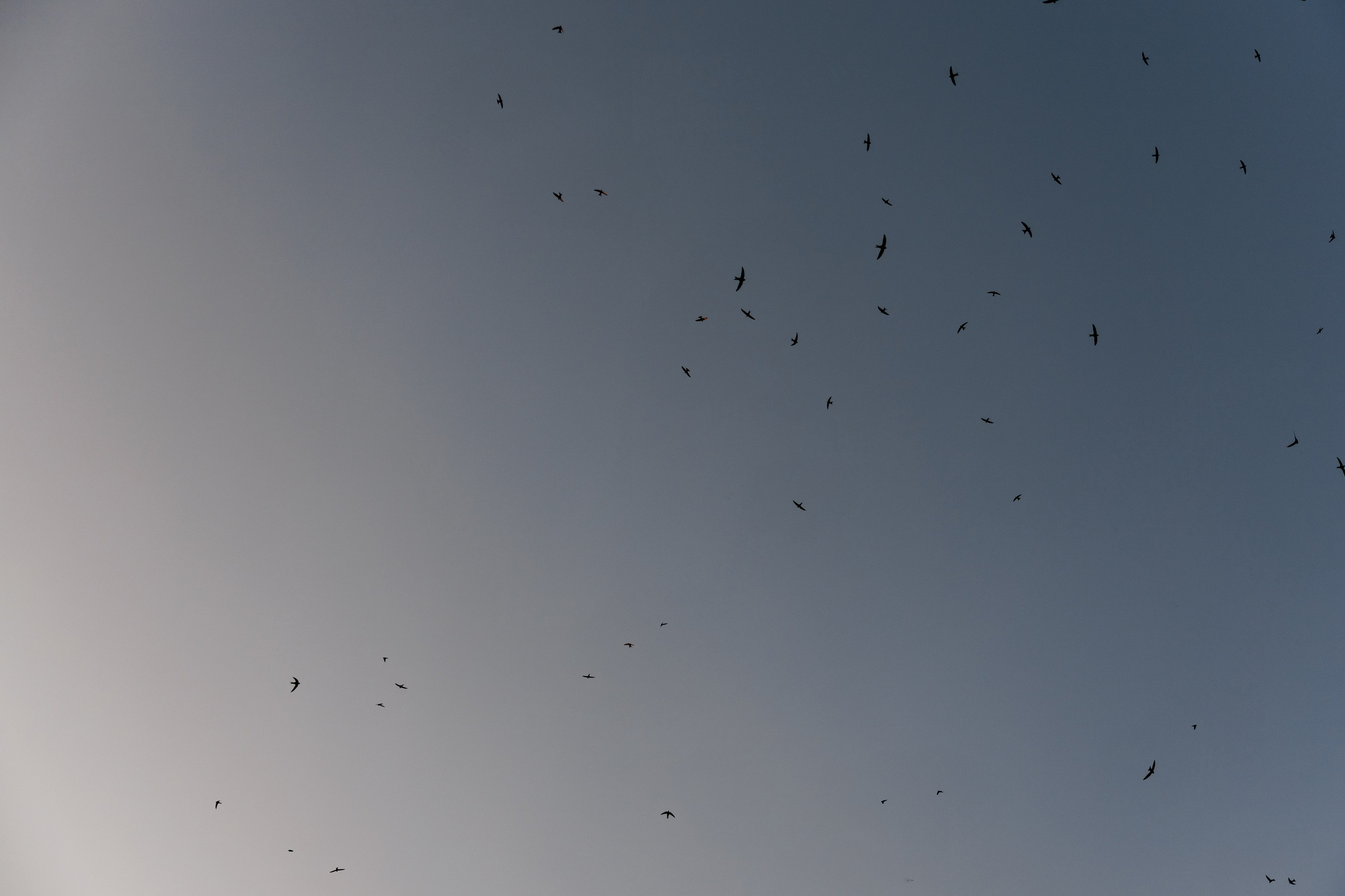 Дмитрий и Наталья. Wedding and Reportage photographer Marmarov Christya