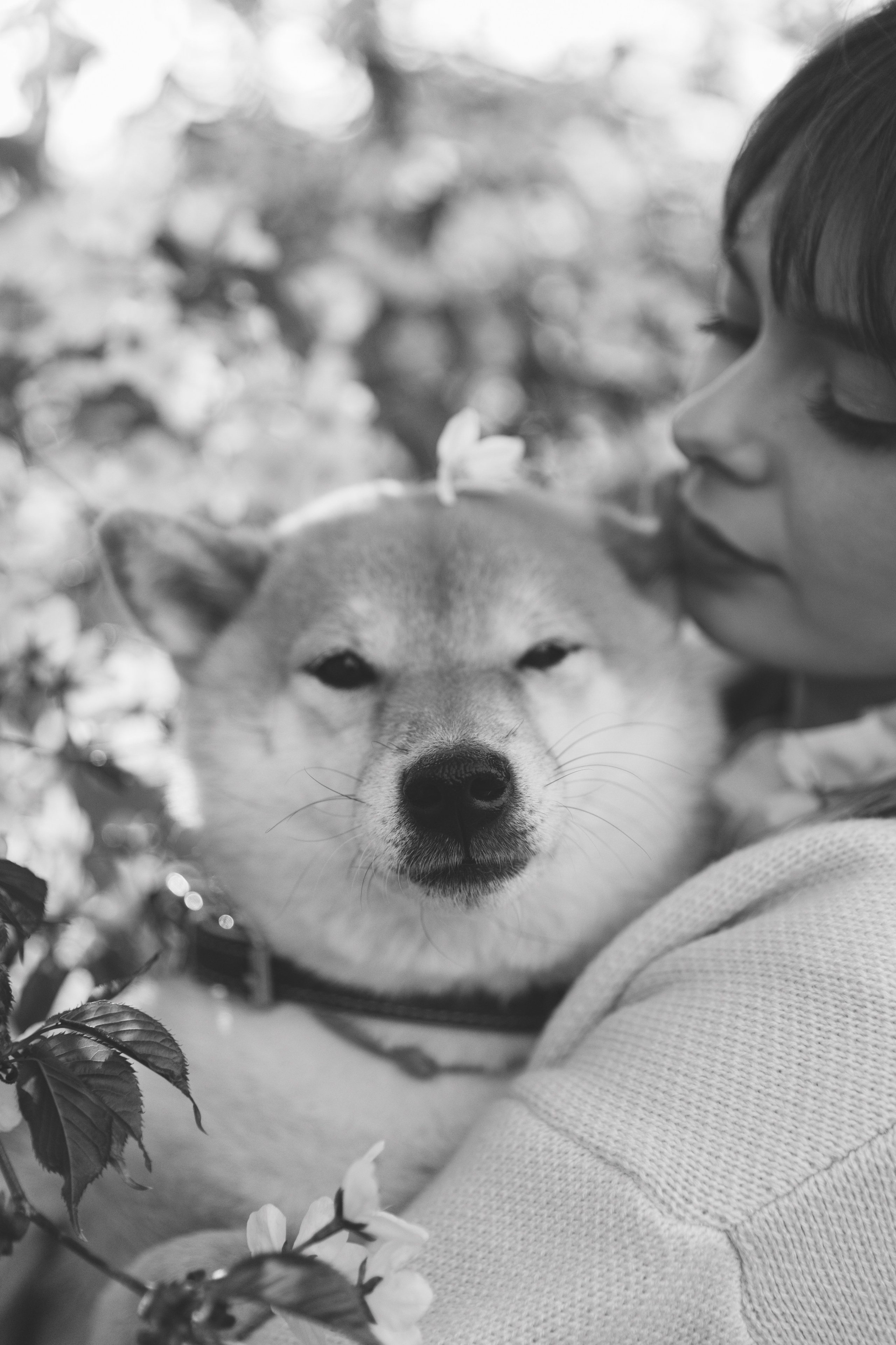 Анастасия и Тайра. Фотограф Южно-Сахалинск Сахалин Анастасия Тучина