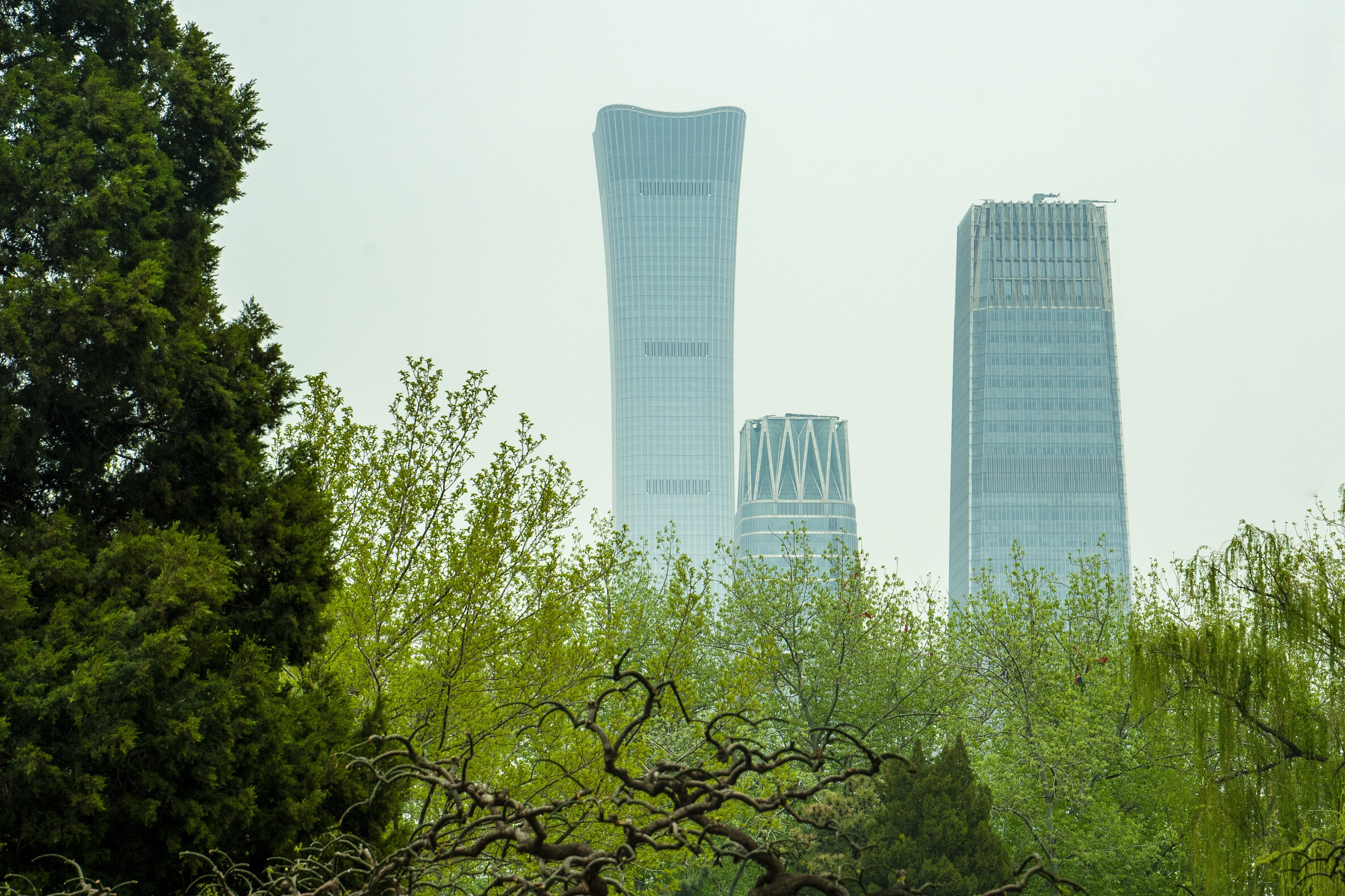 Весна. FotoGraf