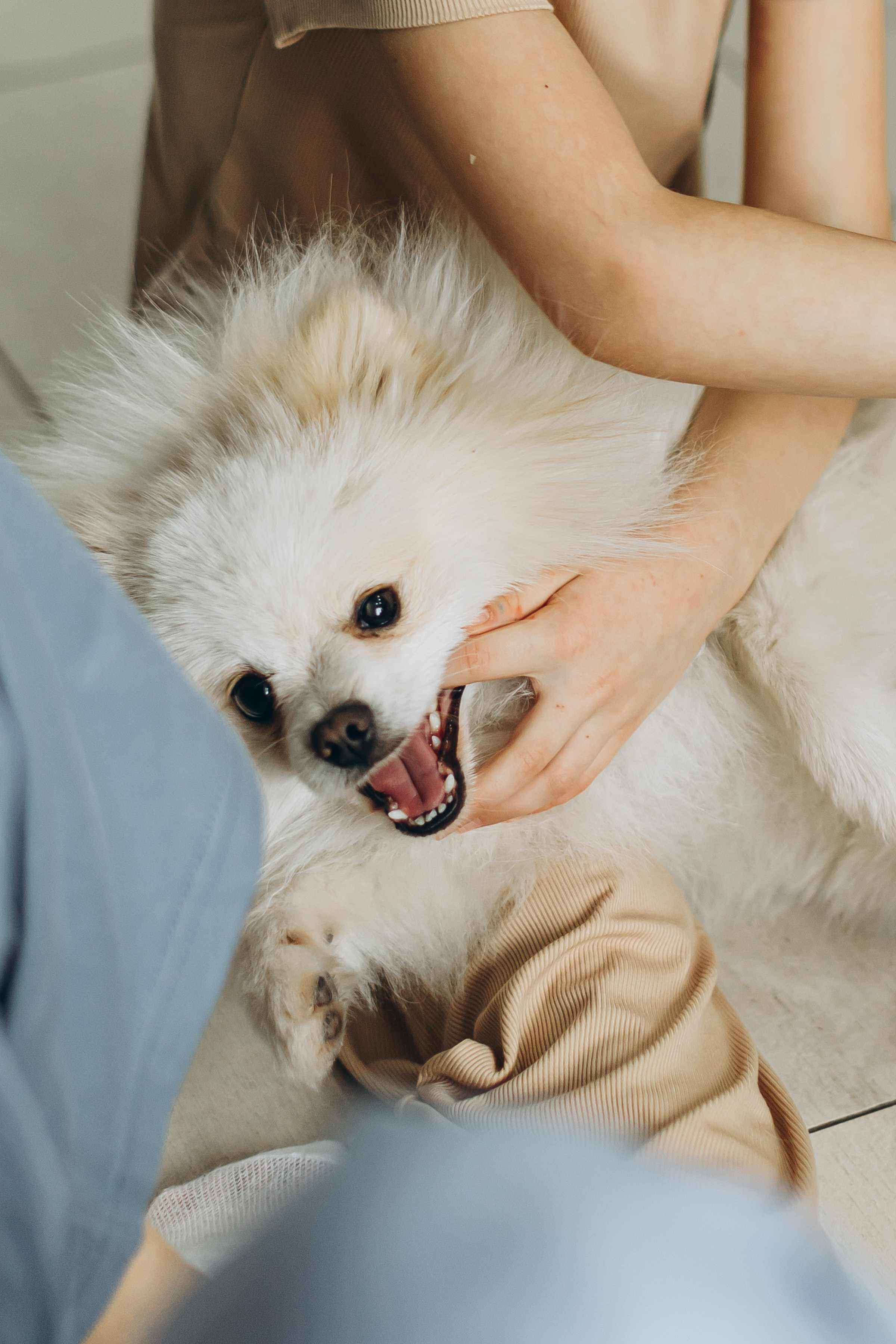 Домашняя фотосессия. Семейный фотограф в Волгодонске Краченцева Анна