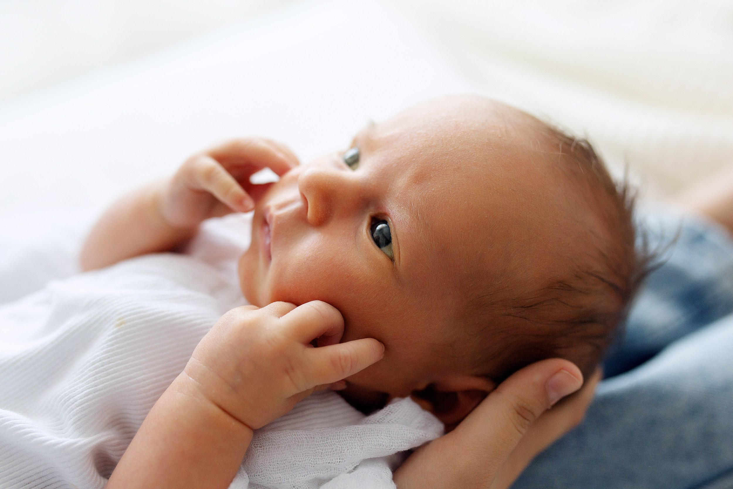 ОЛИВИЯ Life. Фотограф новорожденных Оксана Полевская