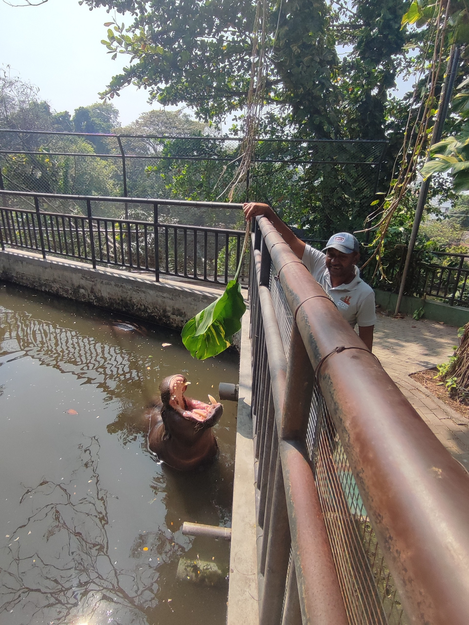 Шри-Ланка | 31.01 — 10.02.2025. Галерея Фантим