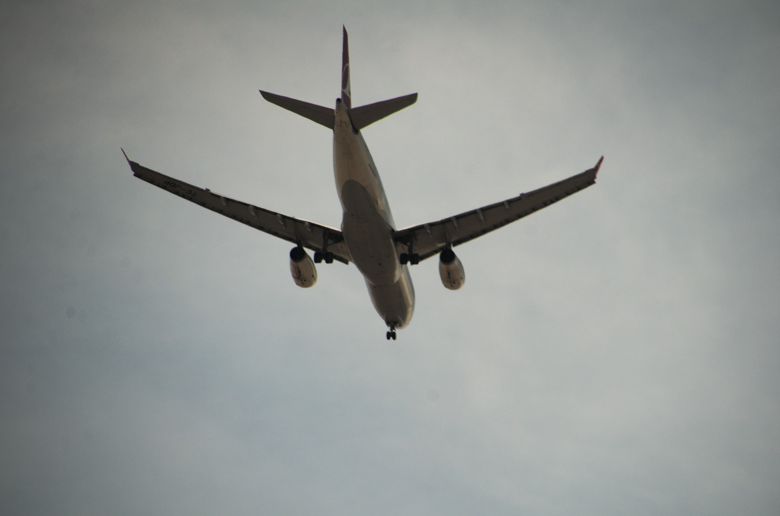 Стамбул | 01-05.05.2019. Галерея Фантим