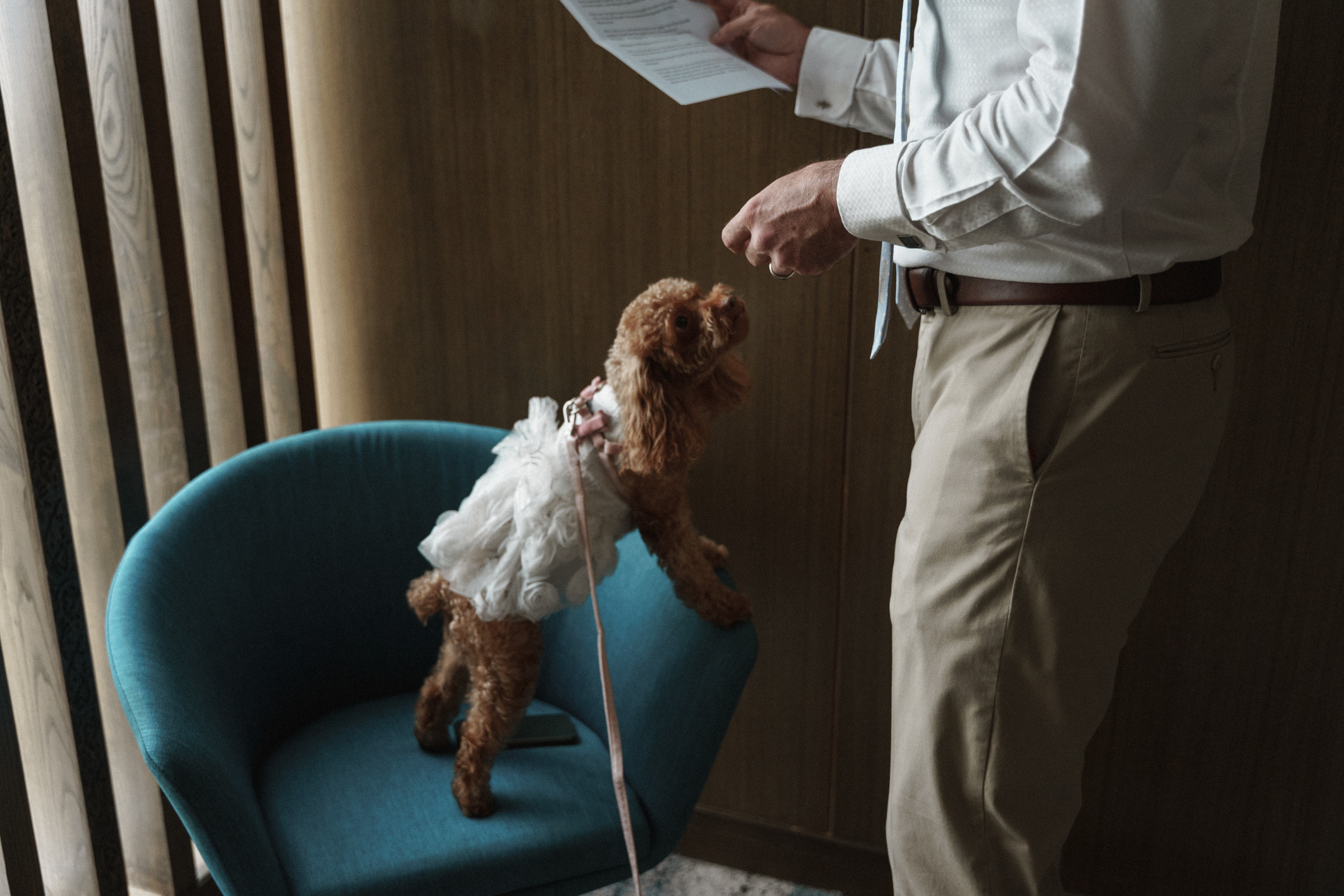Katya & Daniel. Свадебный, семейный и портретный фотограф в Москве, Санкт-Петербурге