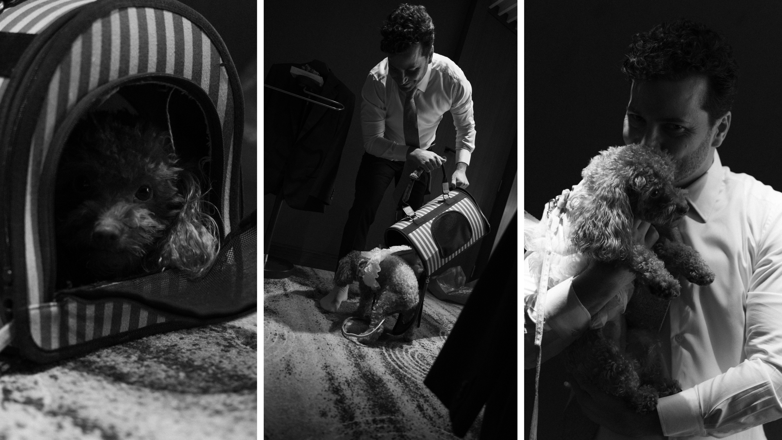 Katya & Daniel. Свадебный, семейный и портретный фотограф в Москве, Санкт-Петербурге