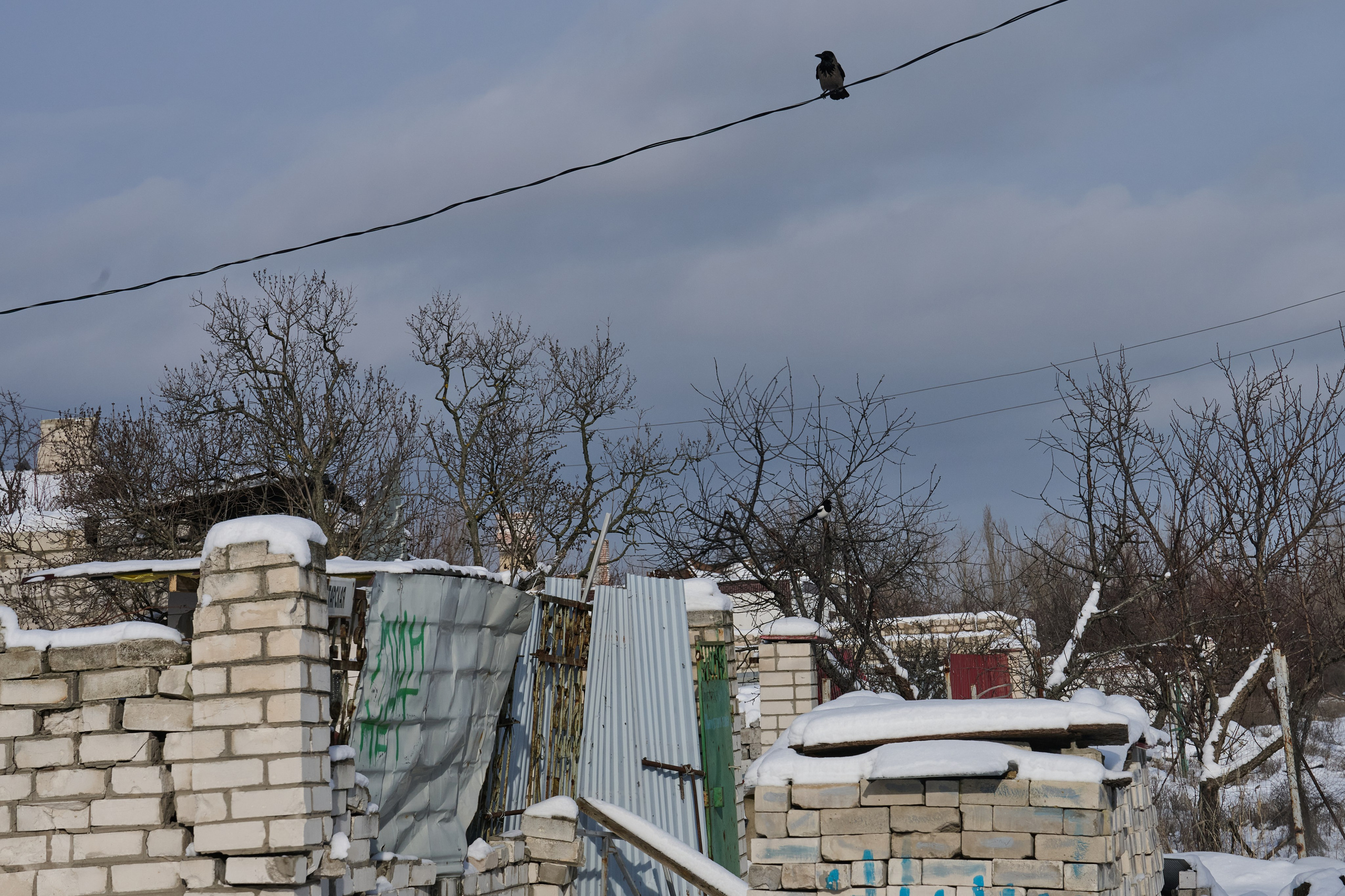 Рубежное. Январь 2026. Фотограф Роман Адлер