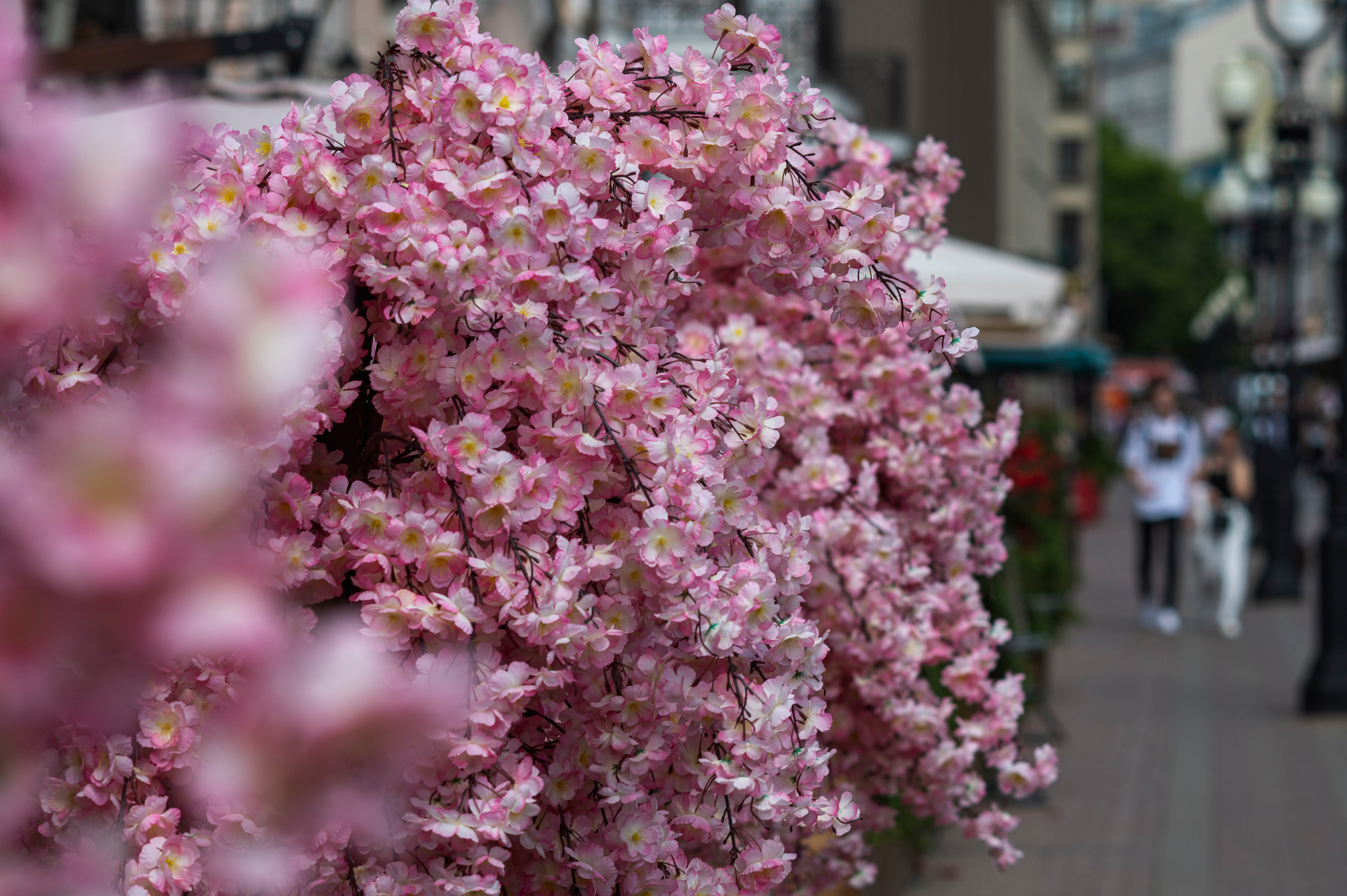 Фотопрогулка по Москве. Фотограф Роман Адлер