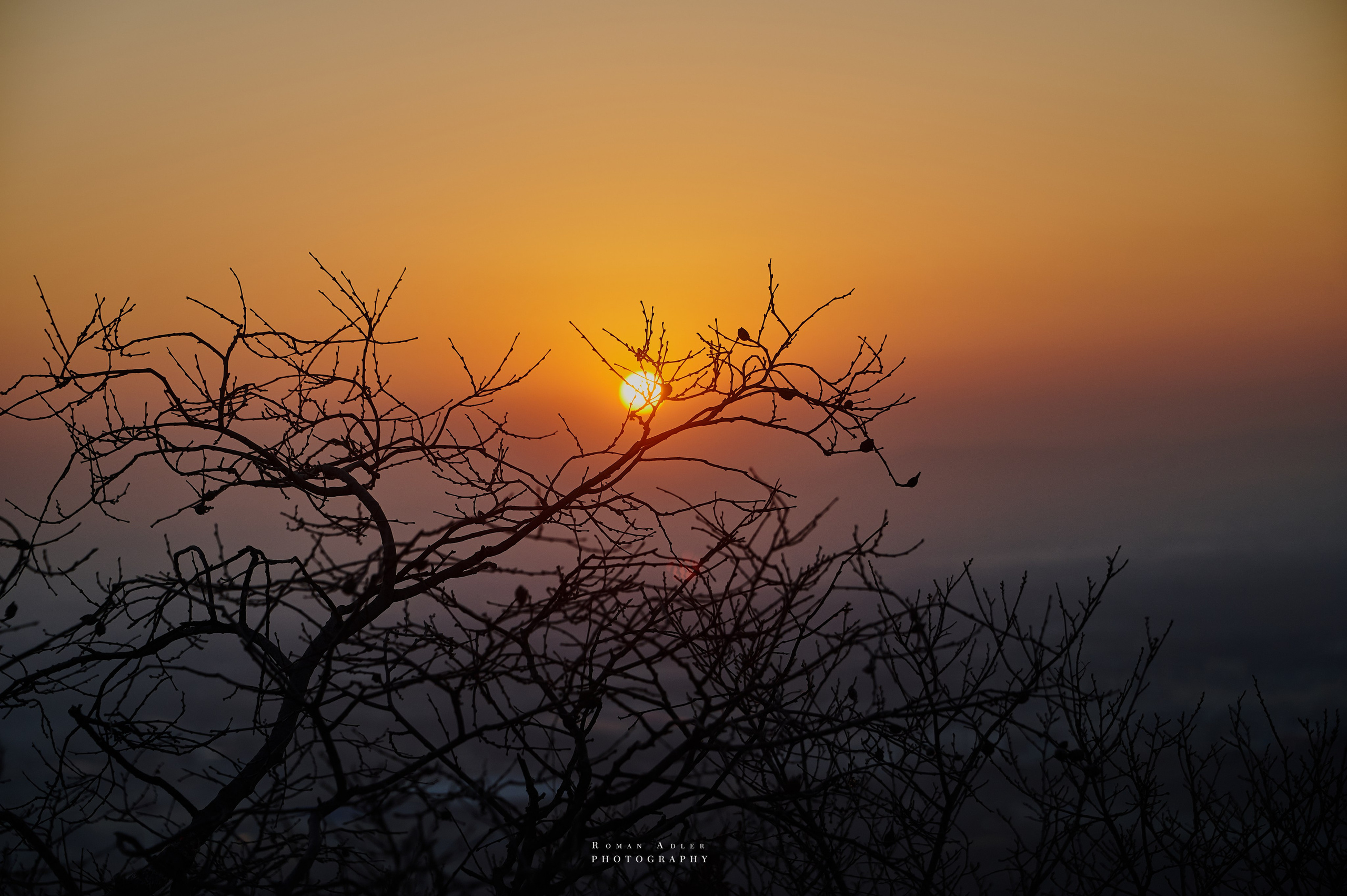 Рассвет на храмовой горе Юнмень. Цинчжоу. Фотограф Роман Адлер
