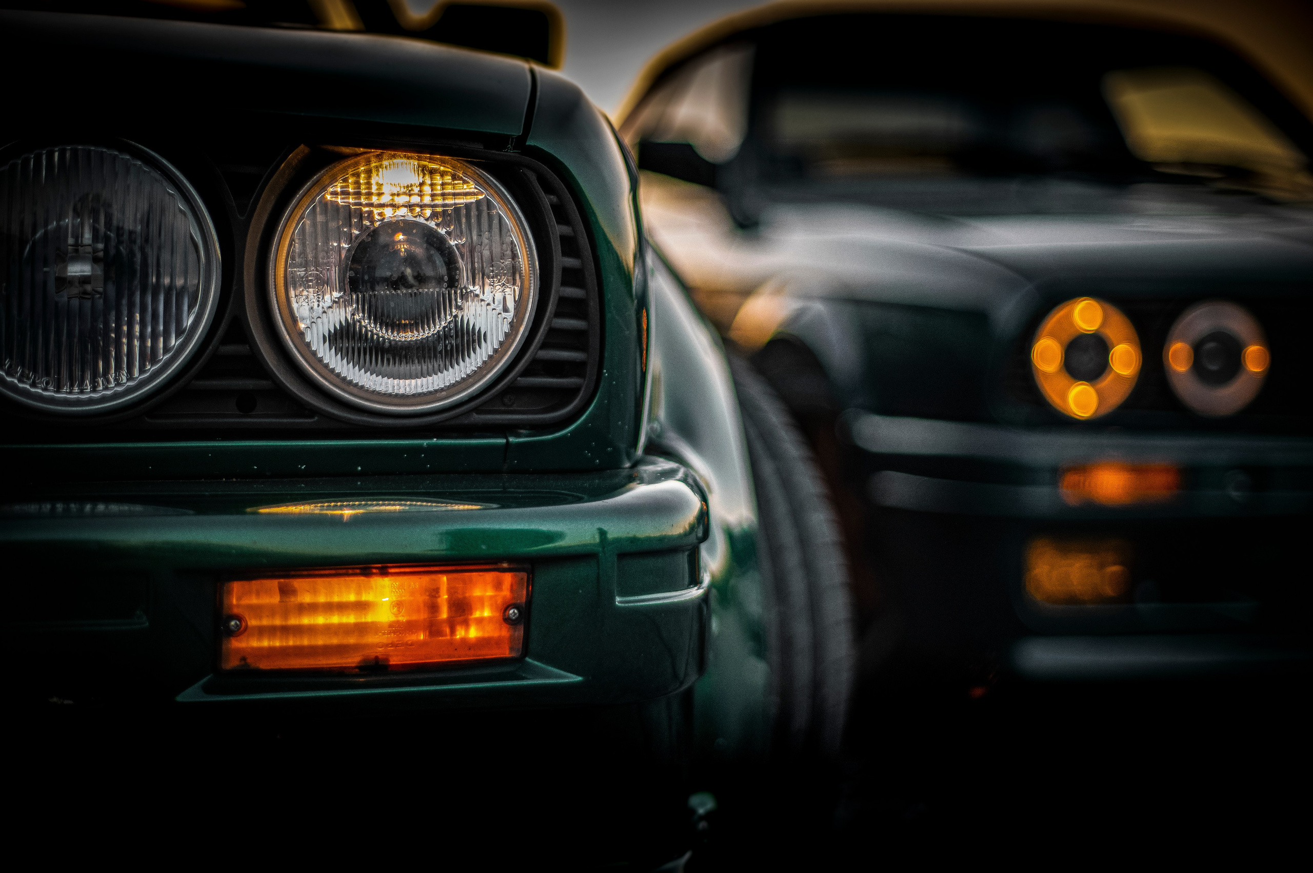 БМВ & Доберман. Фотограф Роман Адлер