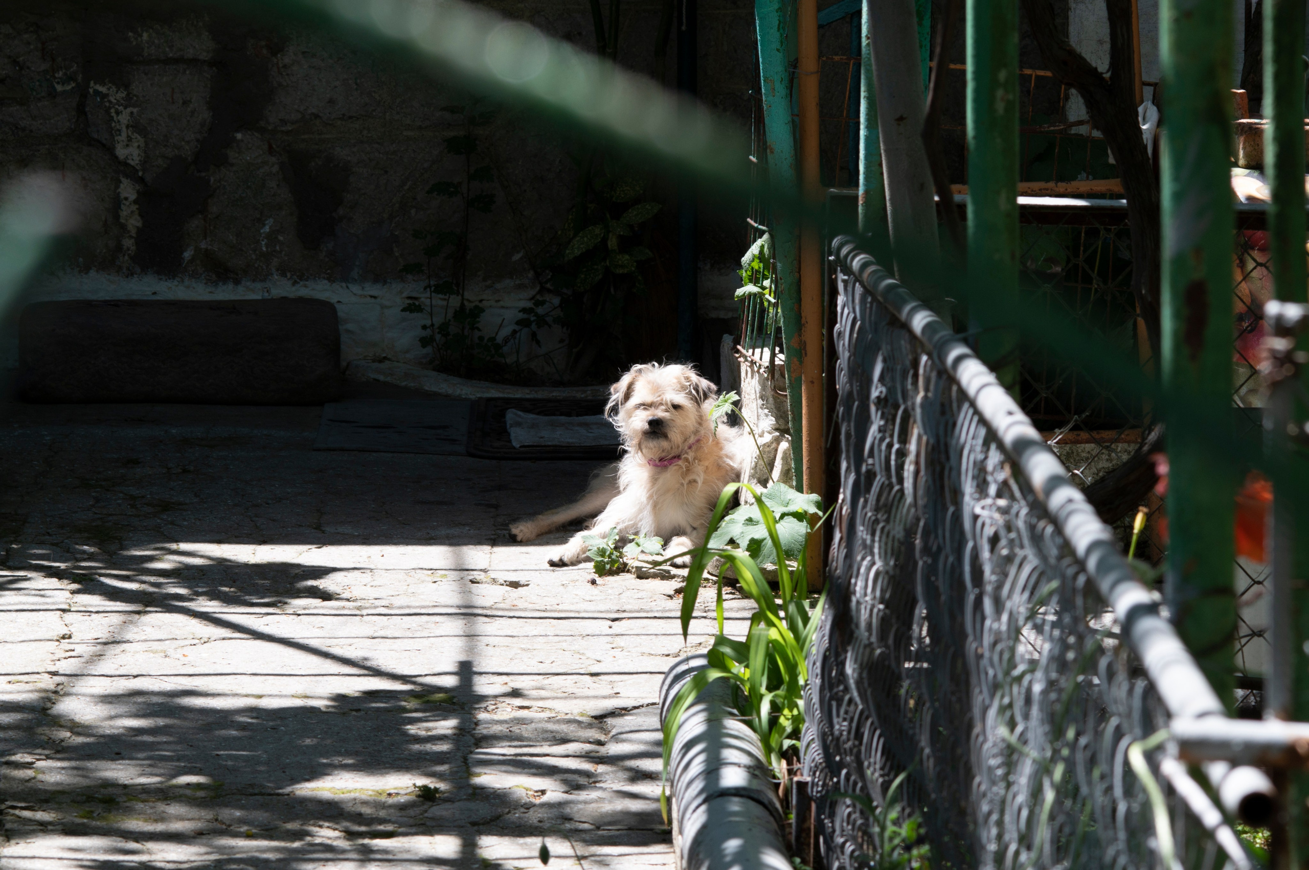 Крым май 2022. Фотограф Роман Адлер