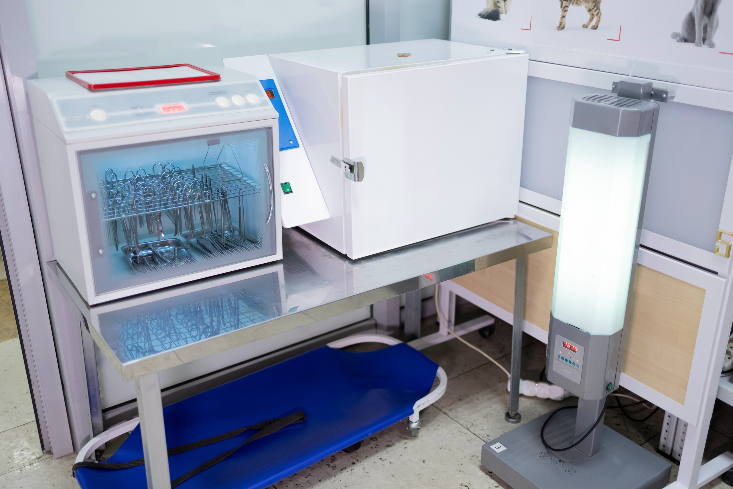 Ветеринарная клиника