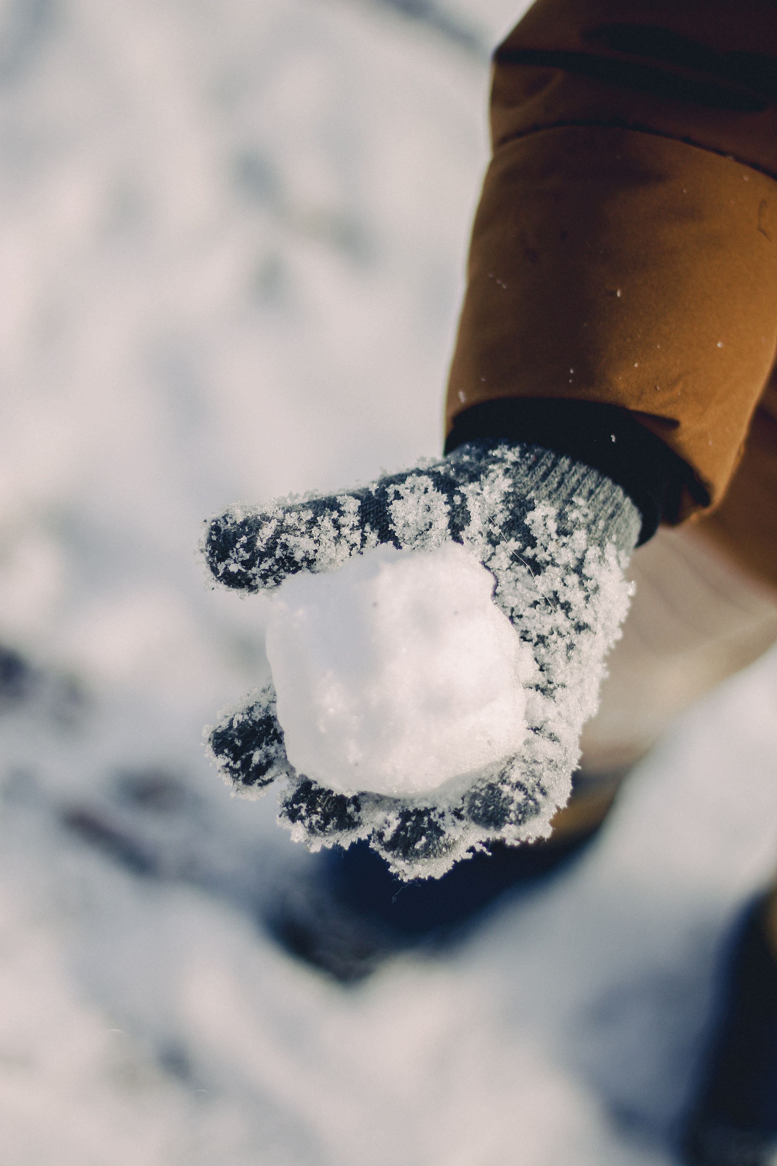 Зимний Краснодар. Фотограф Краснодар