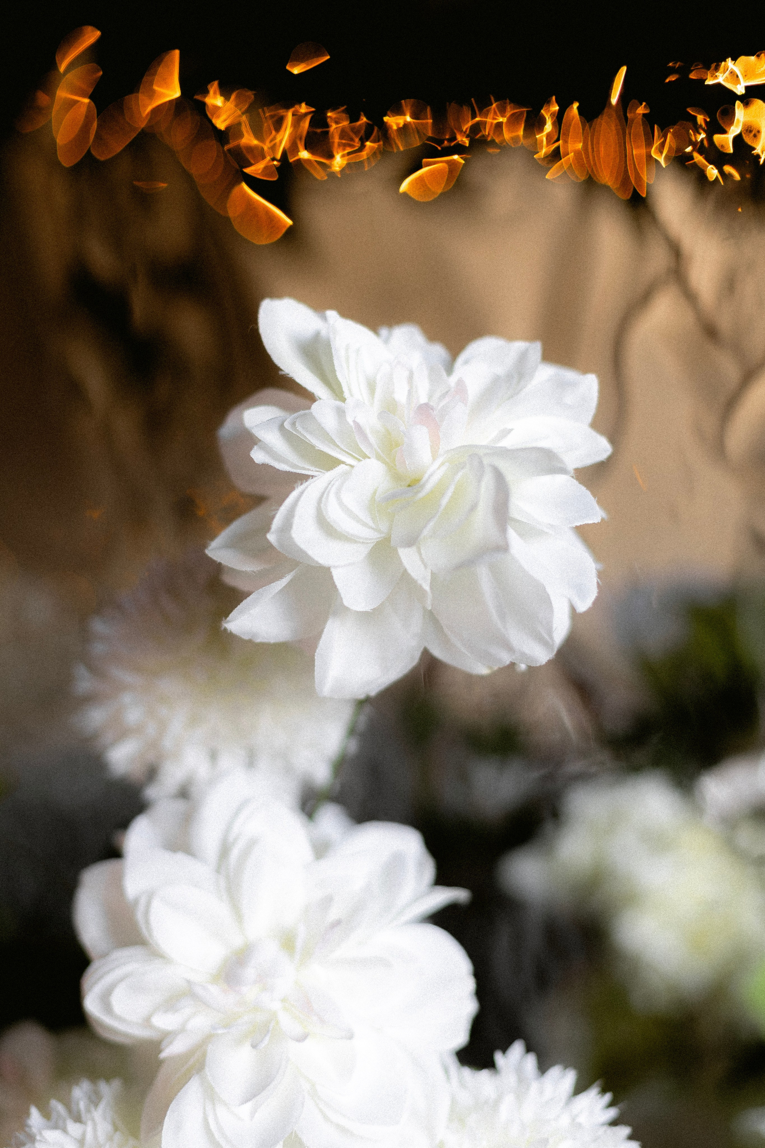 Свадьба Сергея и Марии. Артур Иликчян — Wedding & Event фотограф в Краснодаре