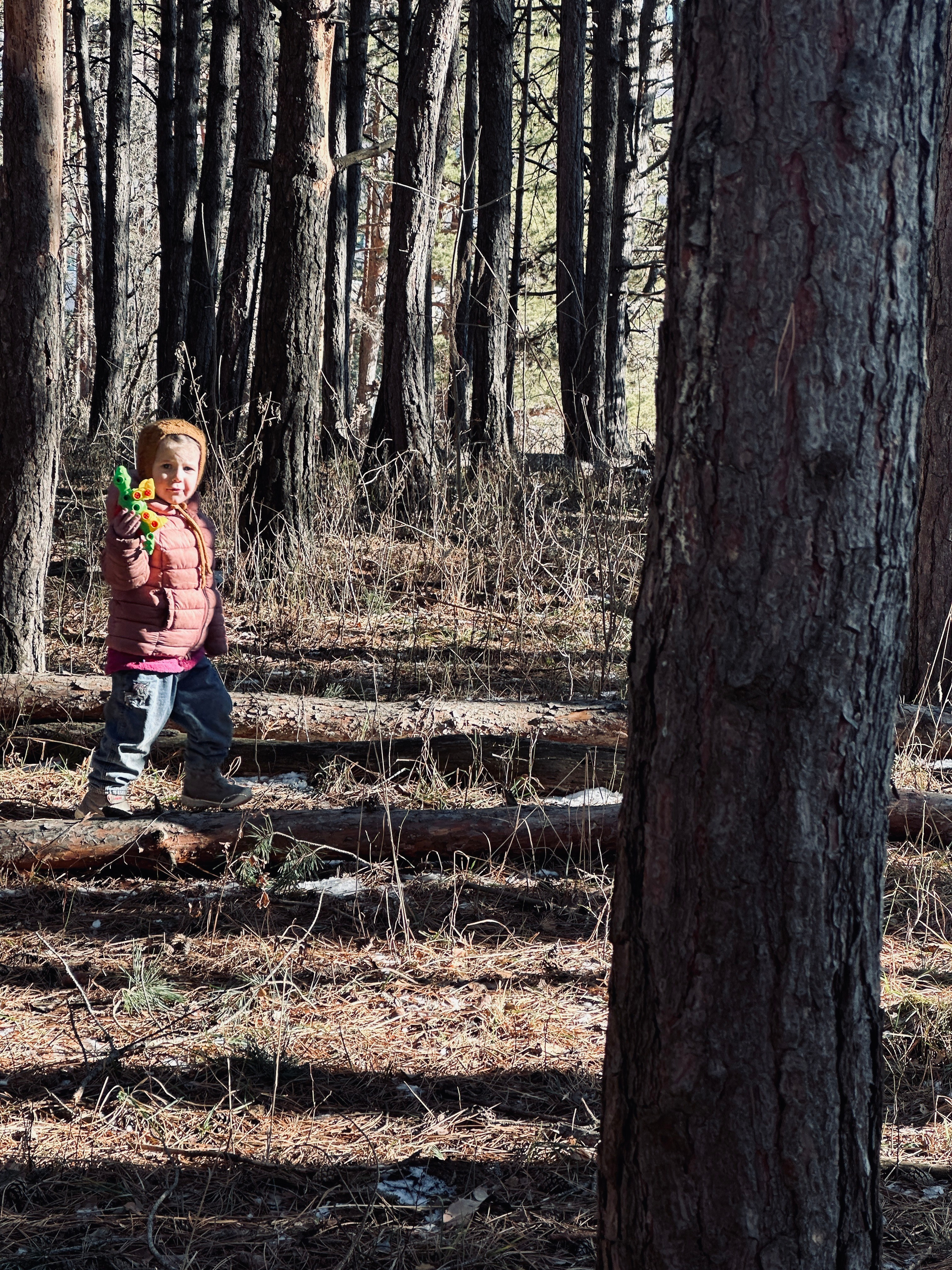 Дети. Смотри, красота!
