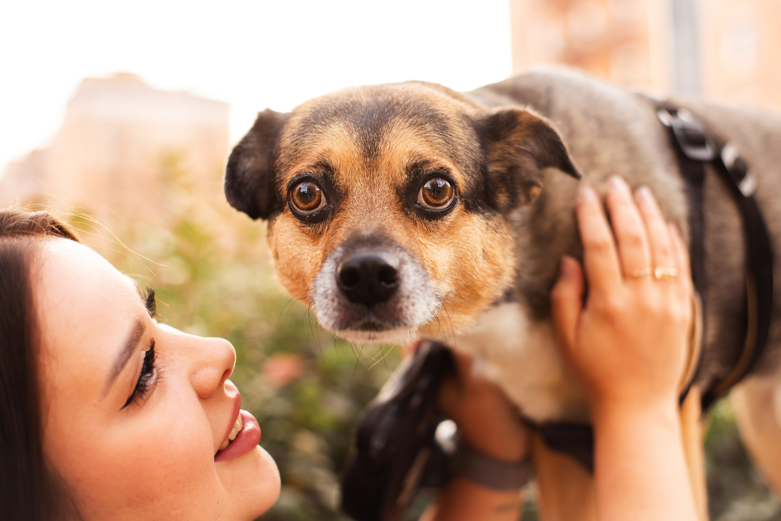 Виктория и Раф. Фотограф-анималист Мария Баркевич | Москва