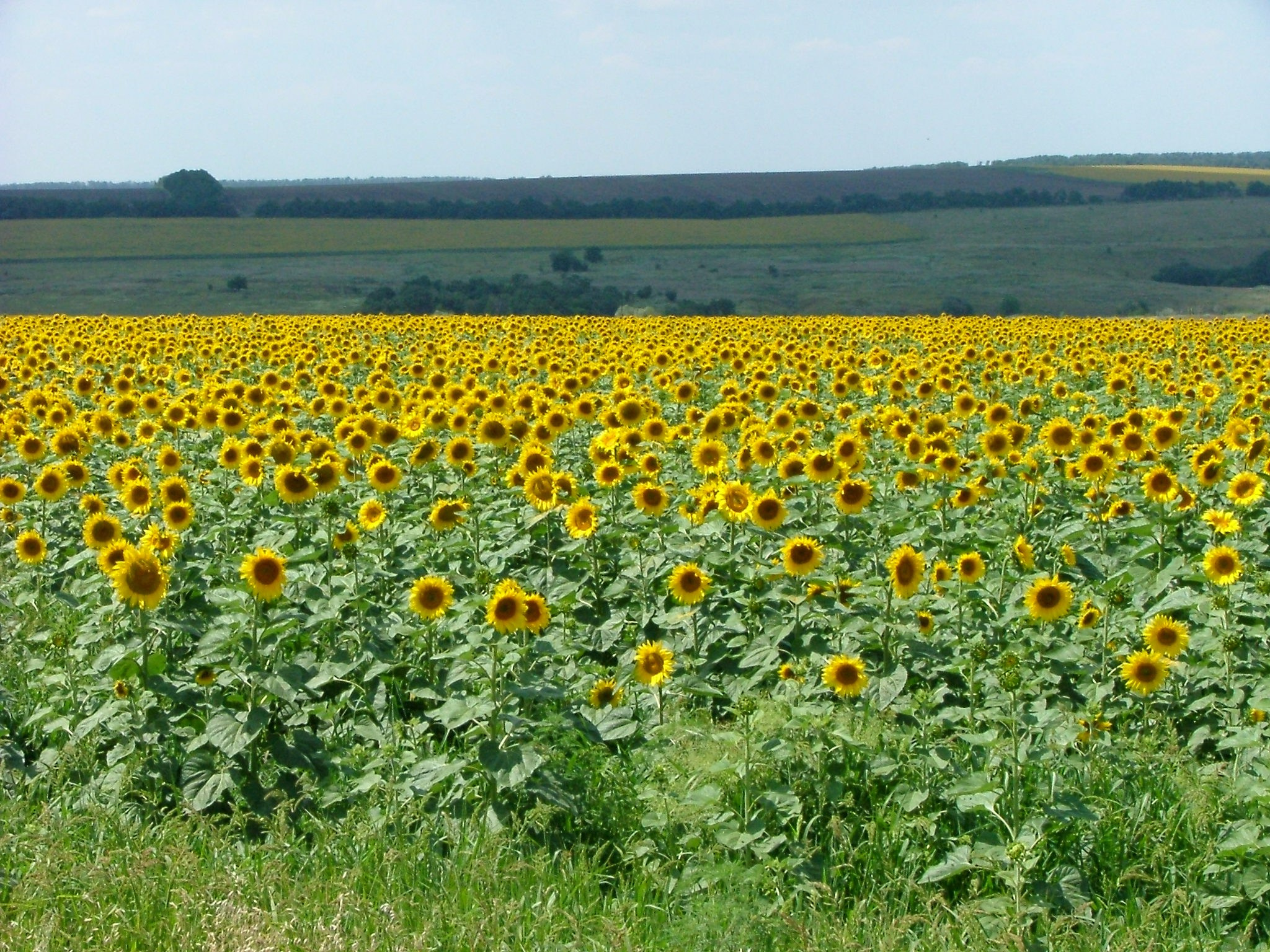 Туапсе. Главная