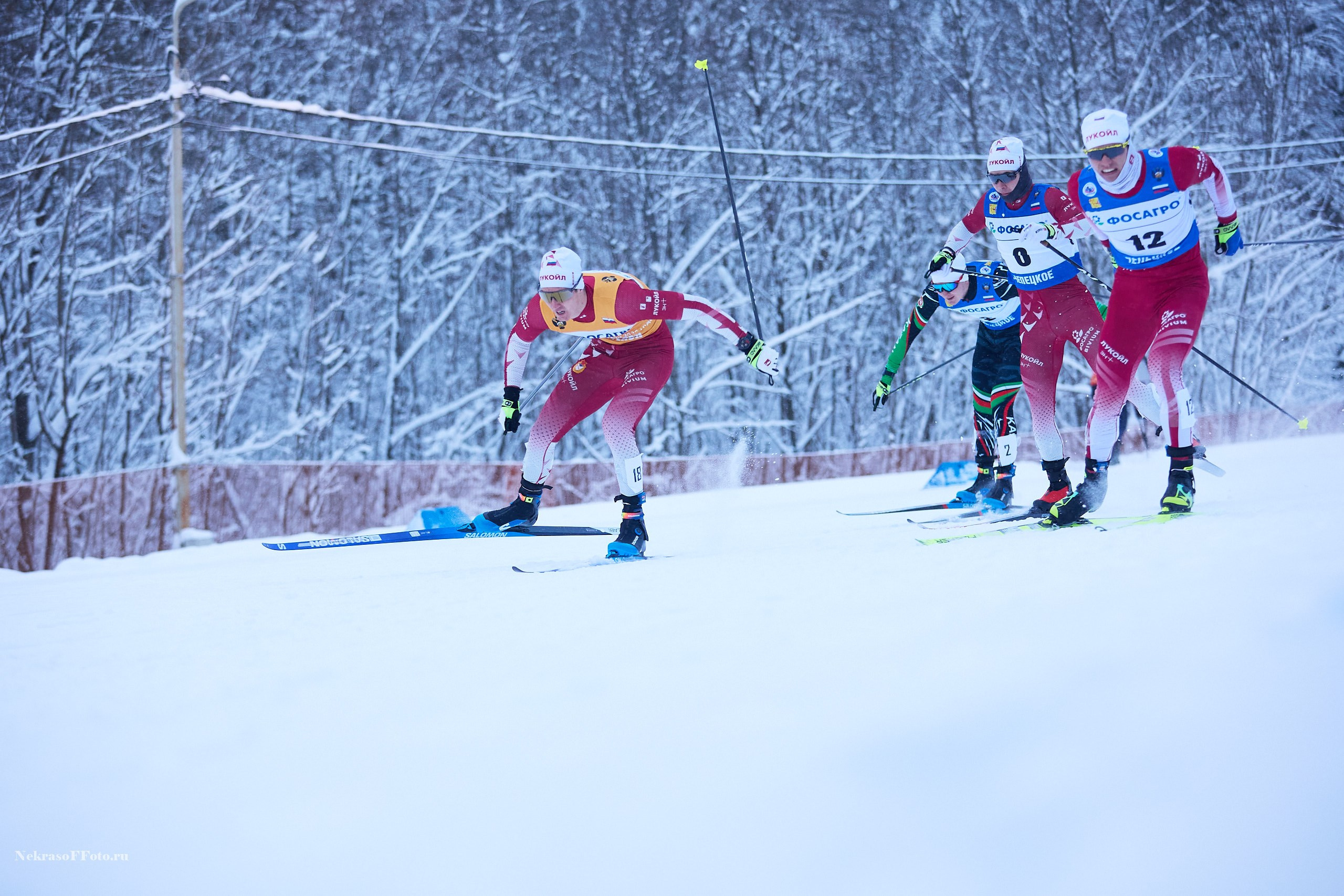 Кубок России по Лыжным гонкам. Спортивный фотограф Некрасов Денис