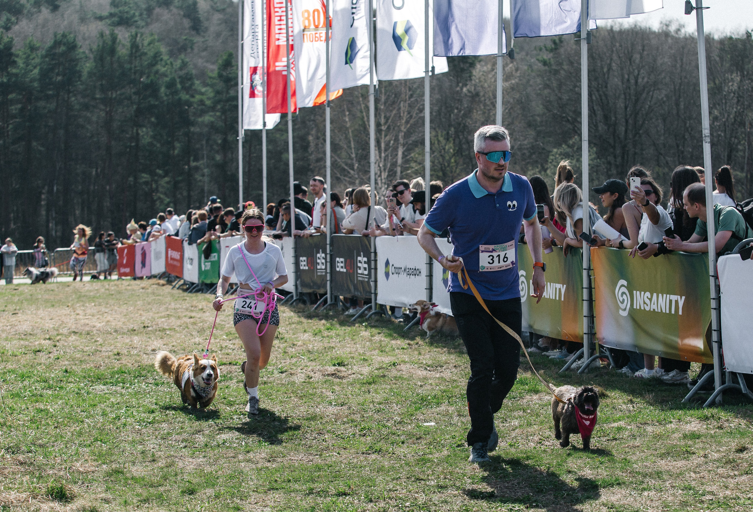 Кросс «Быстрый пёс» 2025. Репортажный фотограф в Москве