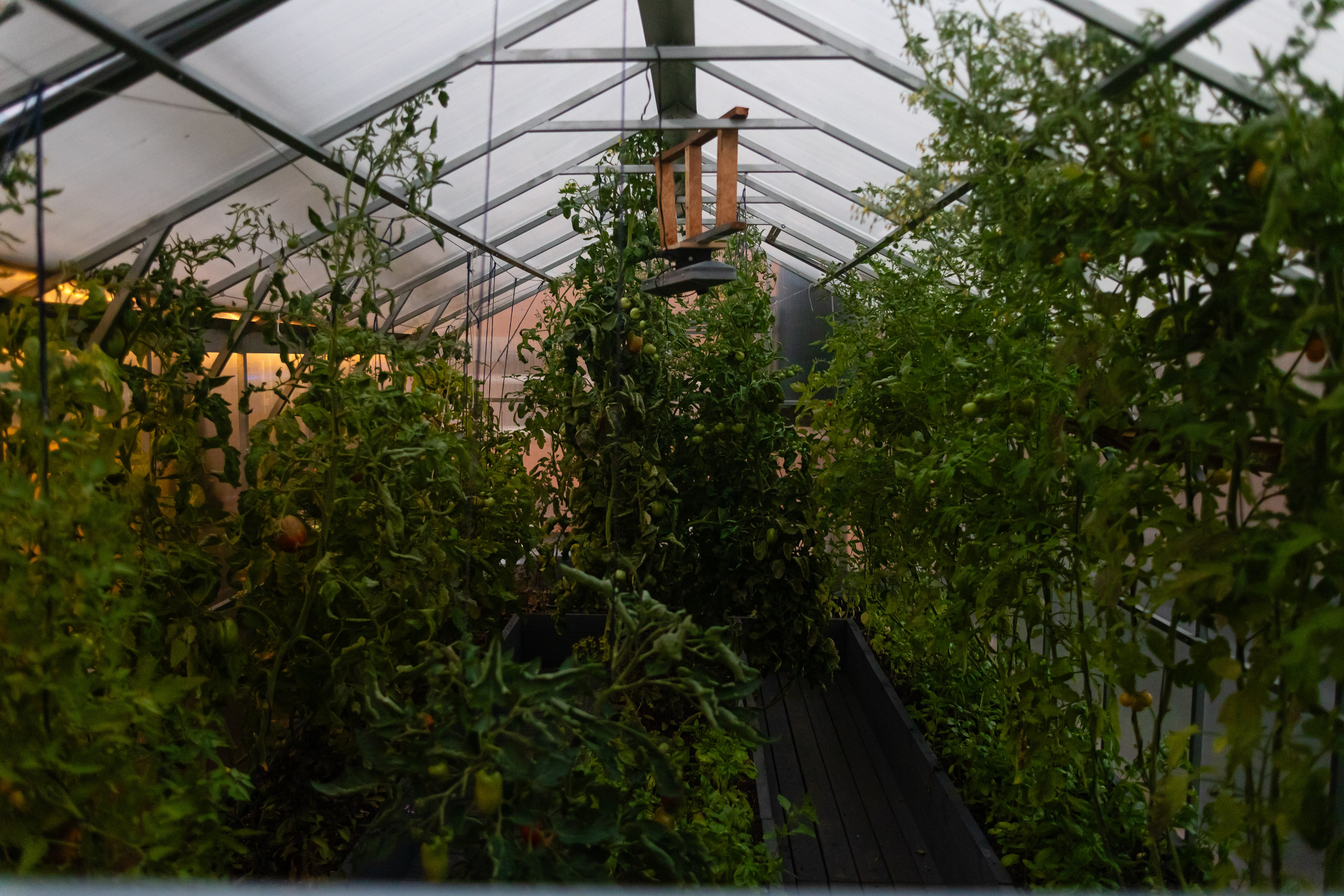 День рождения клуба «Ласточка» 2025. Фотограф Мария Немм