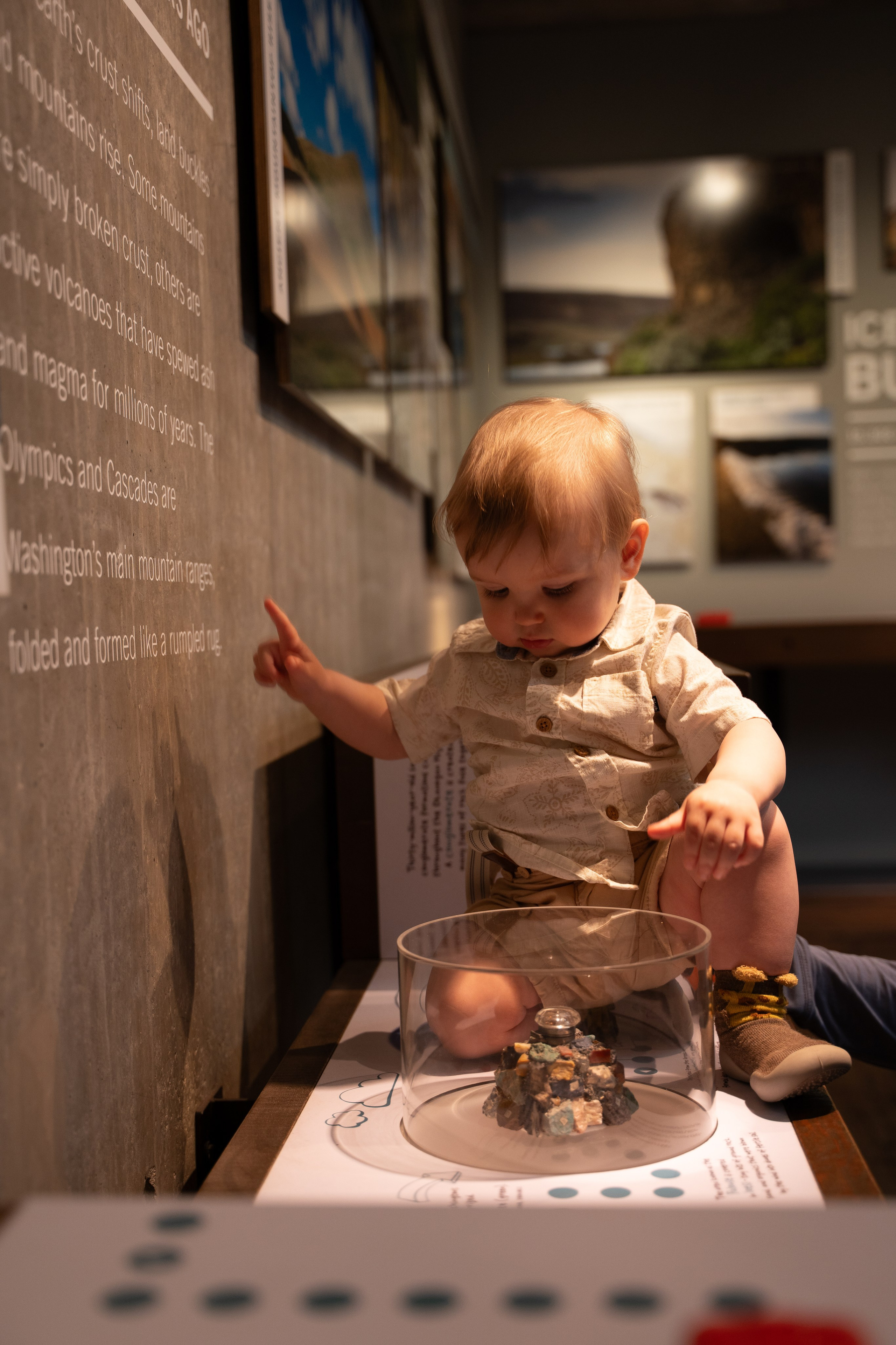 Took root. Wedding & engagement photographer in Seattle, WA. Tania Maureira