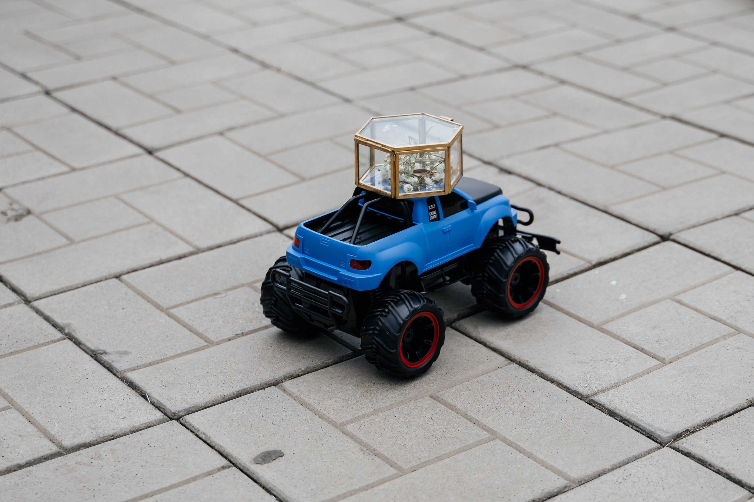 Роман и Полина. Свадебная  съемка на Алтае