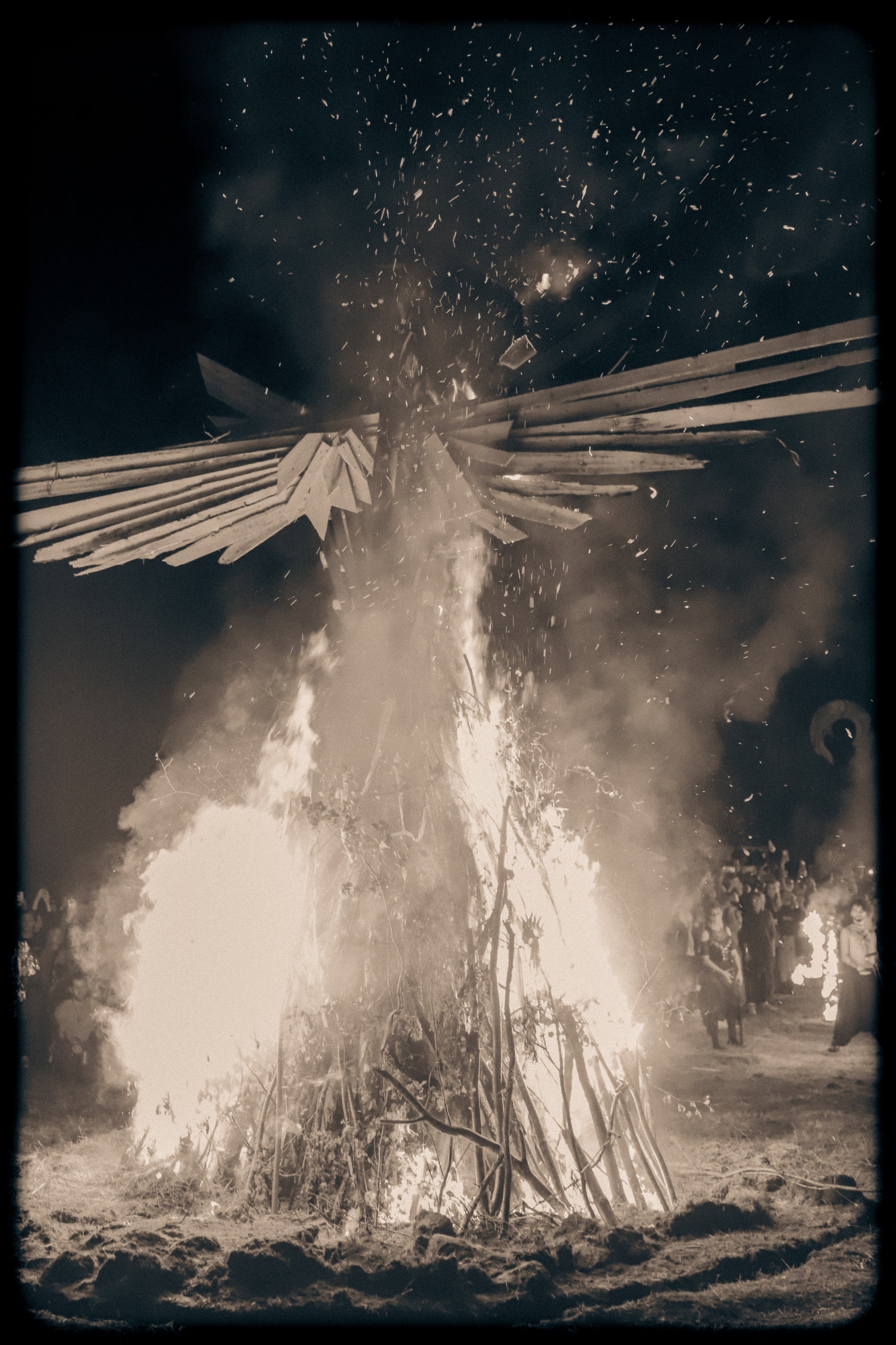 Фестиваль Жива