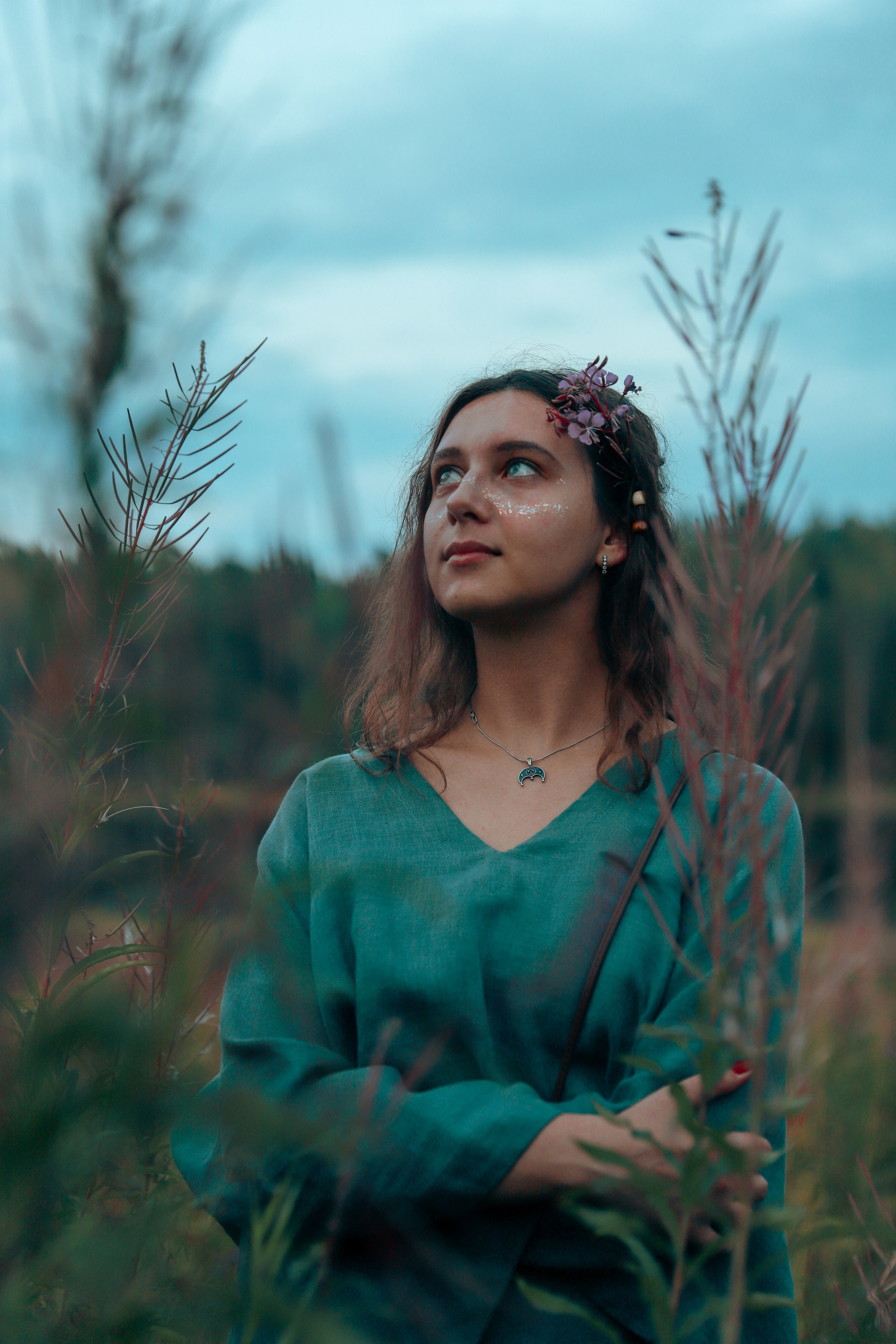 Фестиваль Жива