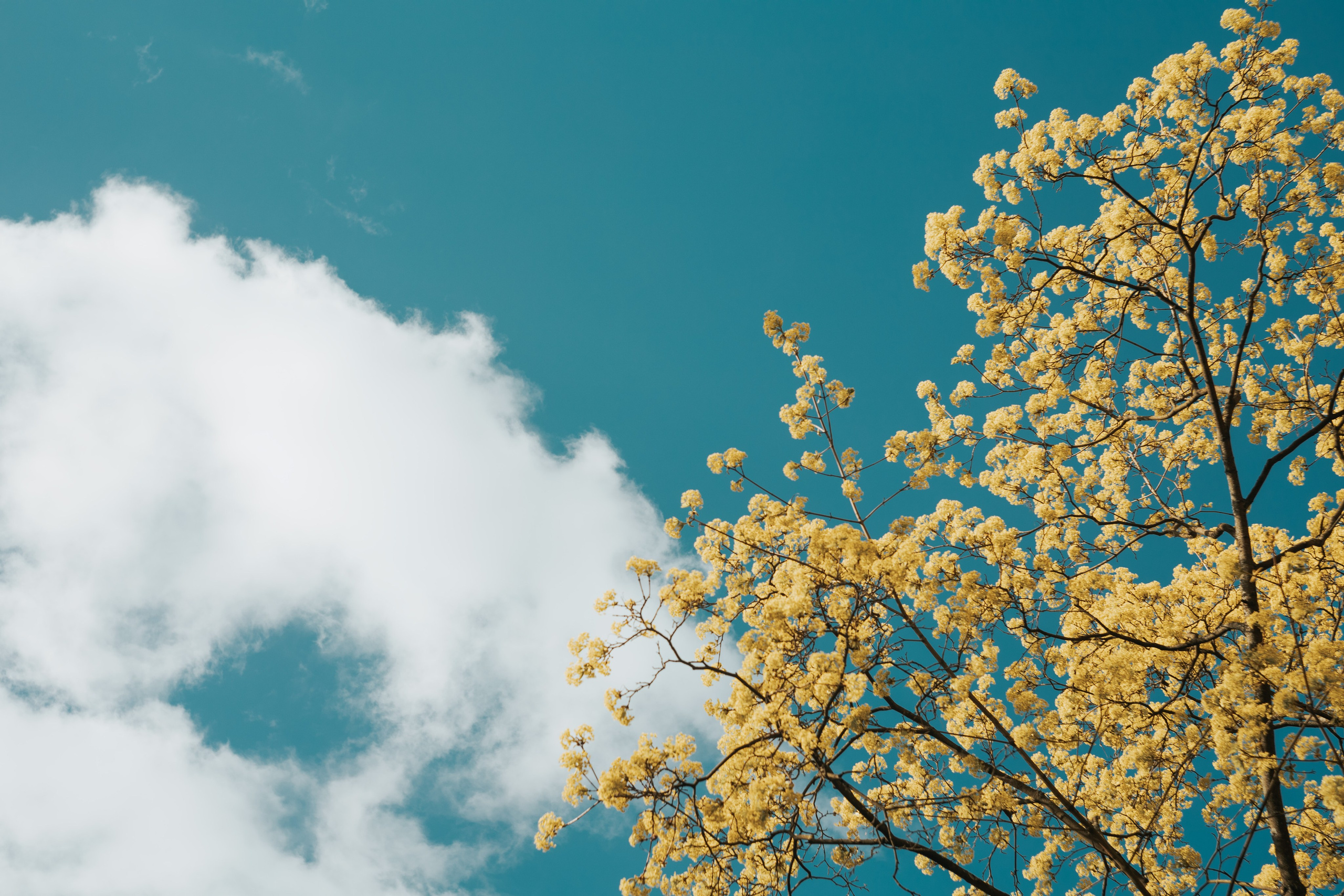 Шмитов Егор