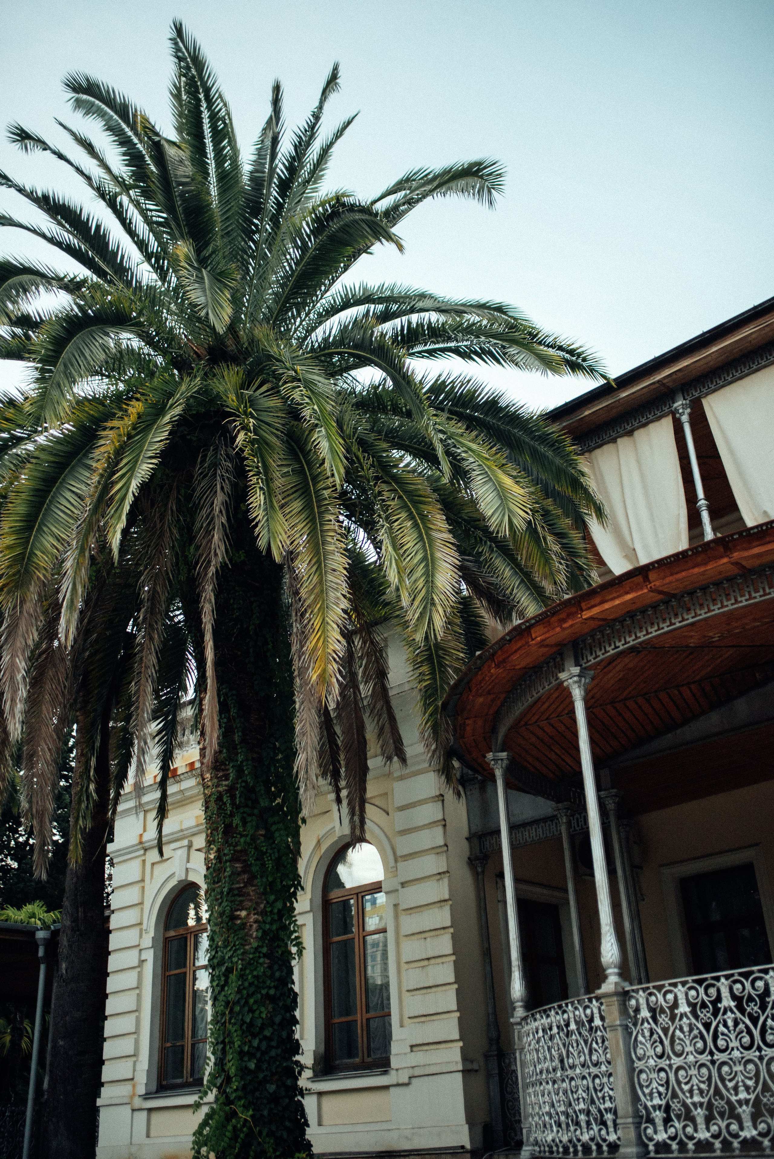 Фотосессия в центре Сочи в парке Дендрарий. Фотограф в Сочи — Маргарита Поганова