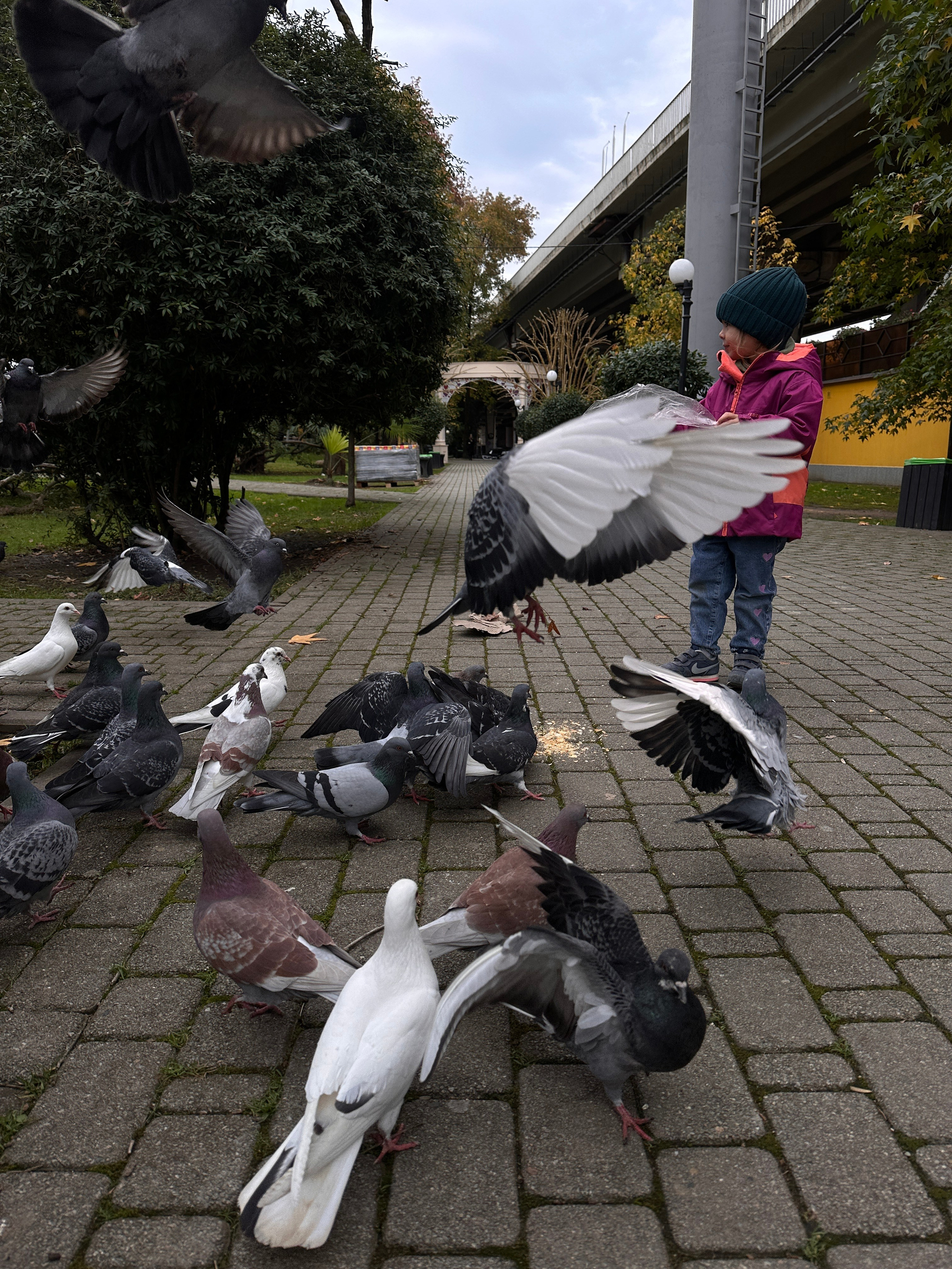 Дети. Смотри, красота!