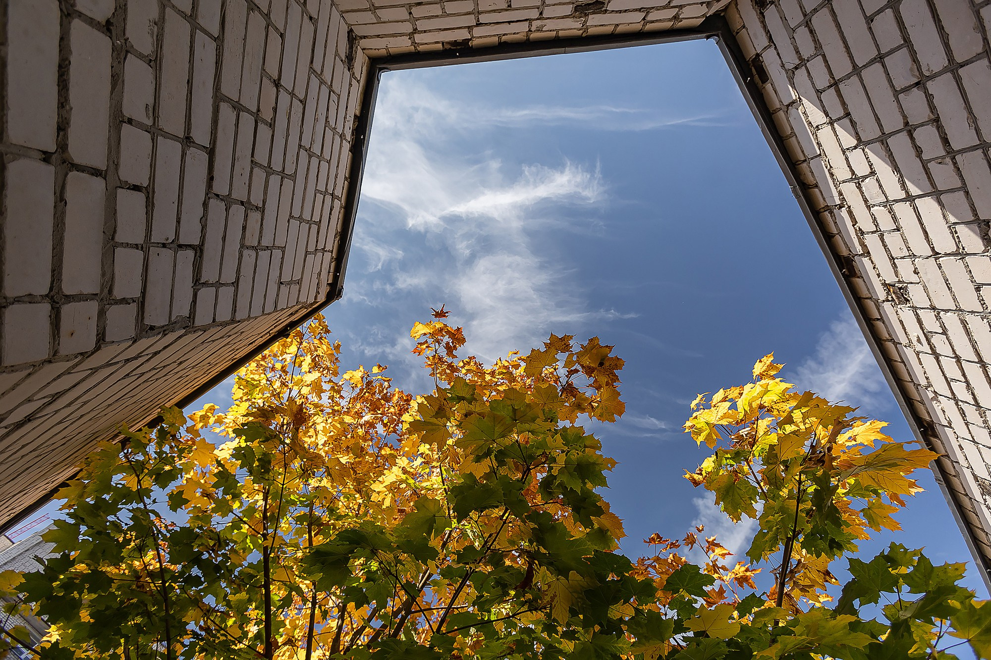 Интерьерные и архитектурные фотографии для вашего бизнеса. Фотограф Соловьев Денис в Московской и Владимирской области