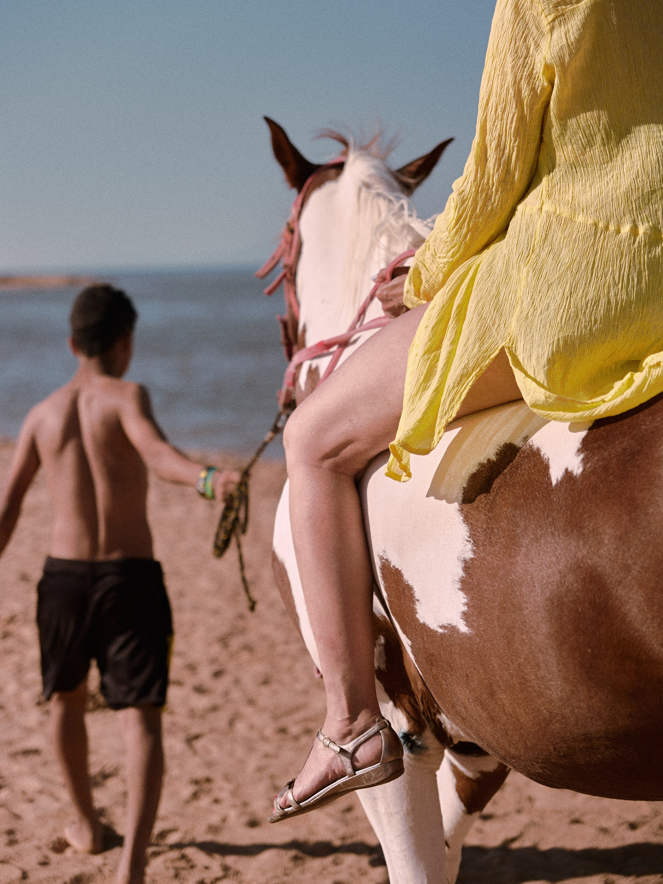 Лошадиная ферма. Jorgis — фотограф в Хургаде / обучение фотографии