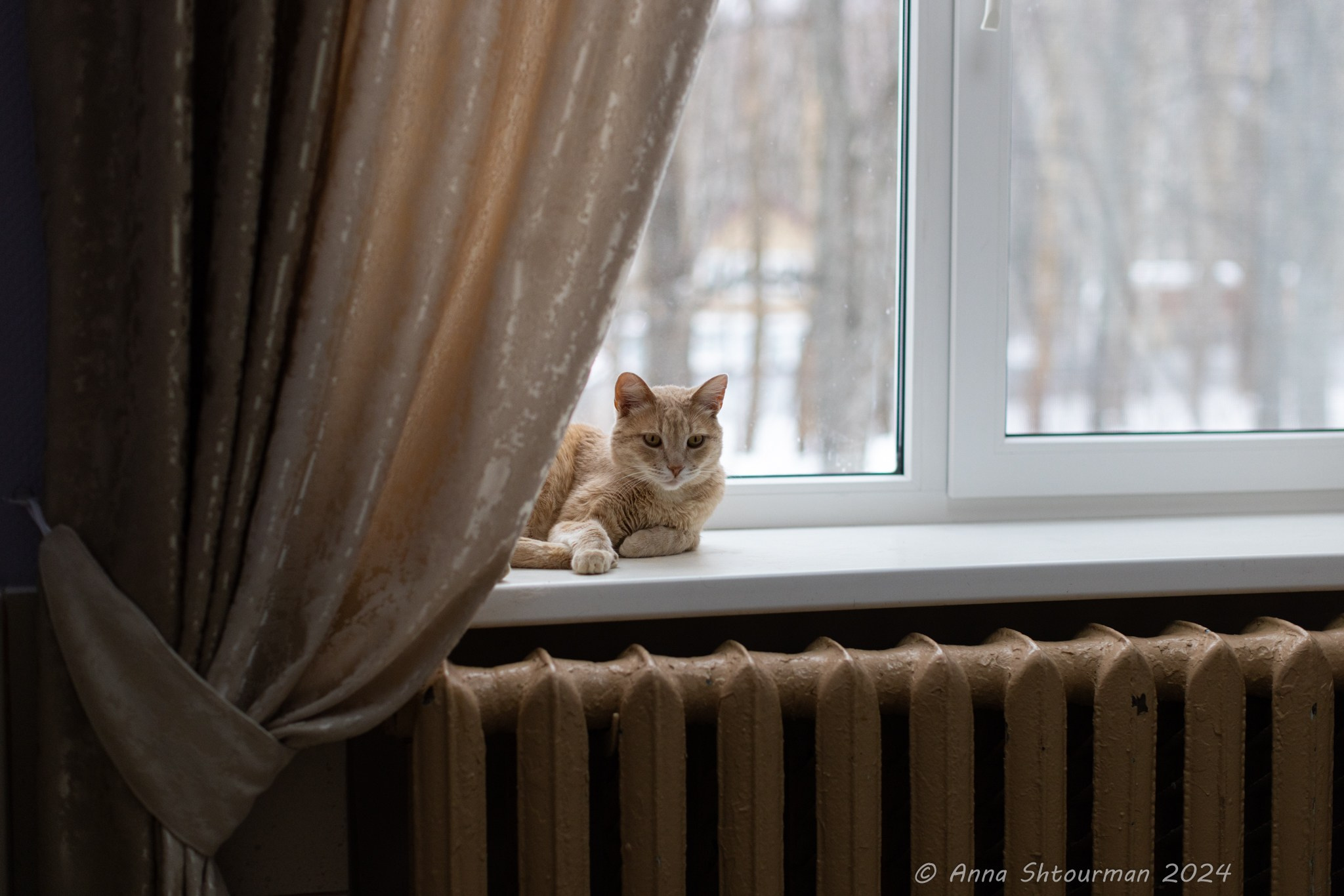 2024 Межрегиональная шахматная школа гроссмейстеров (Кострома, Россия). Фотограф Анна Штурман (репортажная съёмка любых событий и мероприятий) Anna Shtourman photographer