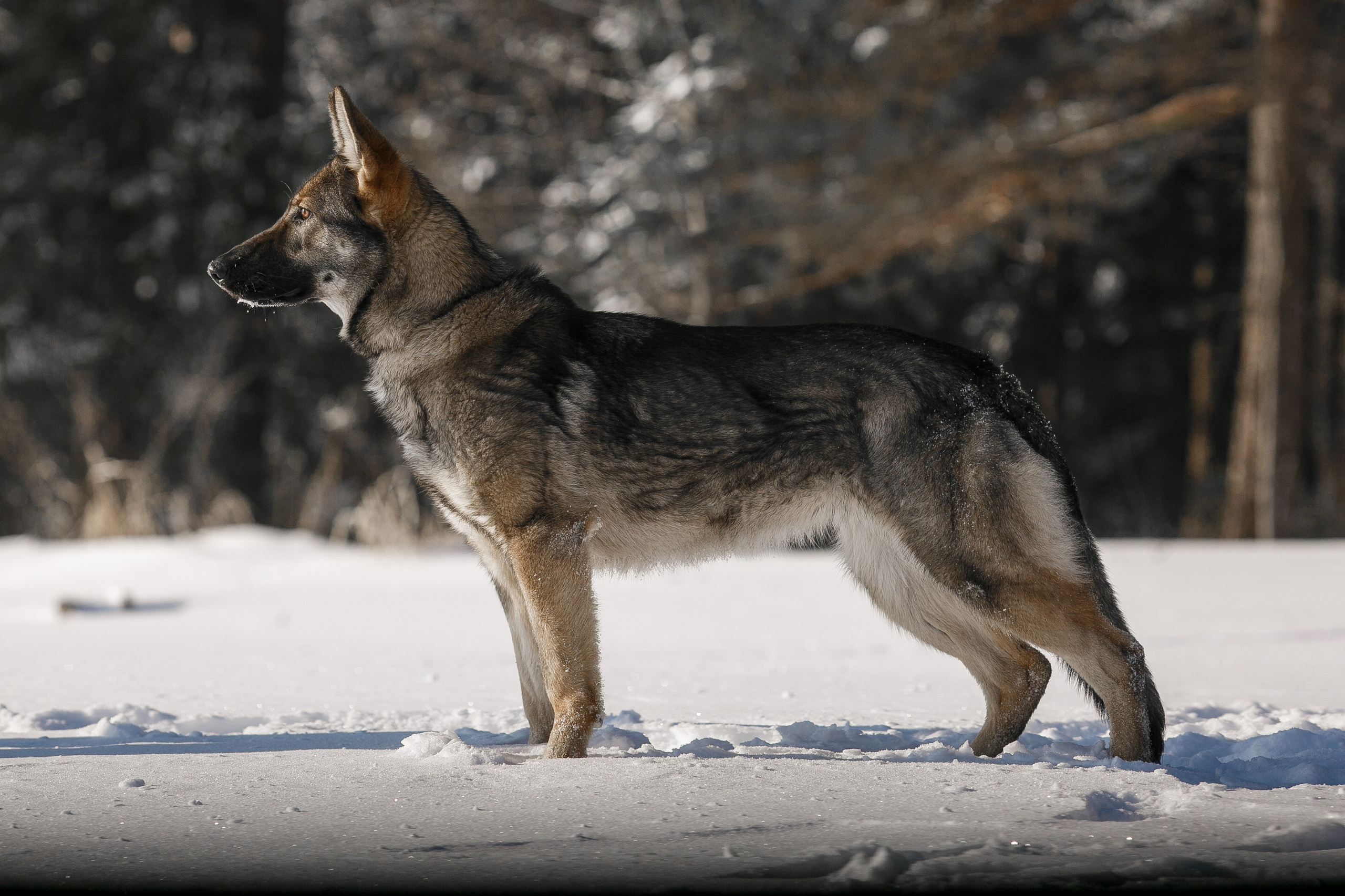 Репортажный фотограф Борис Геер