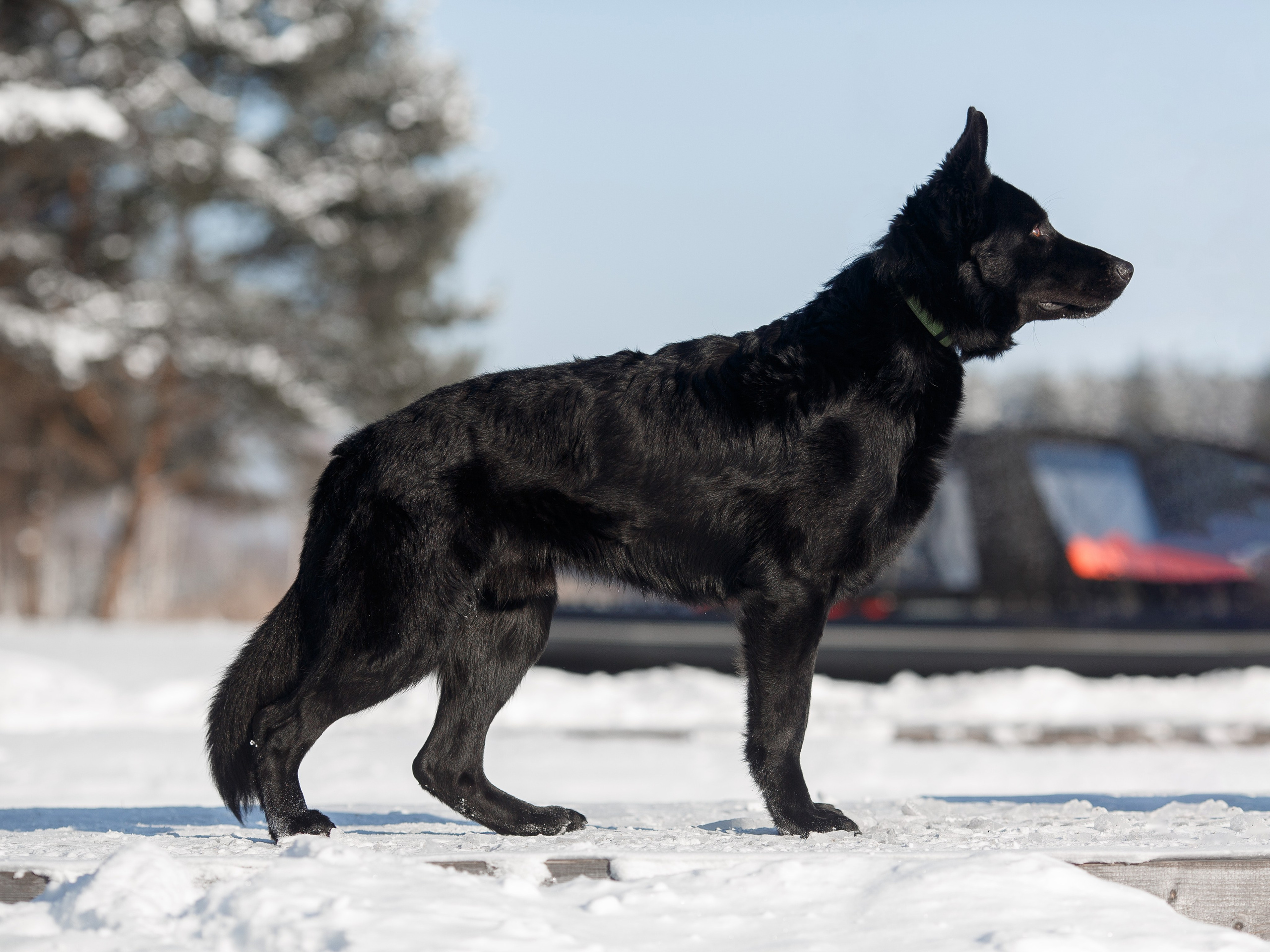 Репортажный фотограф Борис Геер