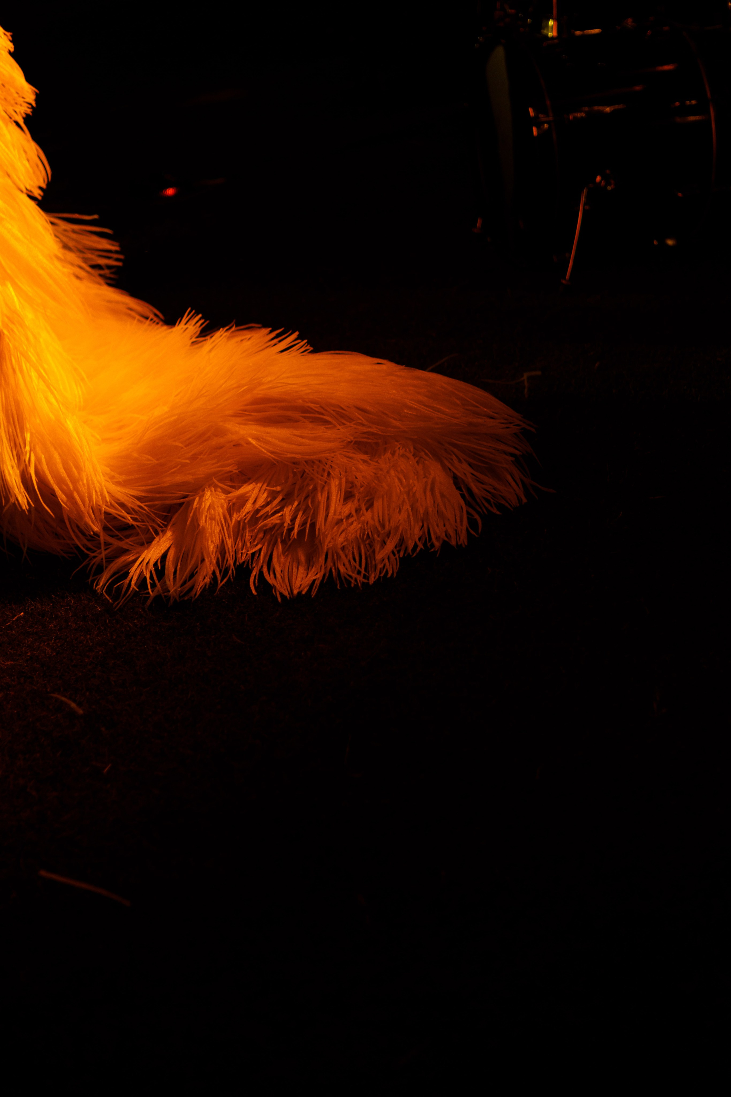 Свадебный фотограф в Ростове-на-Дону — Свадьба Игоря и Алены в гольф-клубе «Дон». Свадебный фотограф Ростов на Дону / Таганрог — Усачева Анастасия