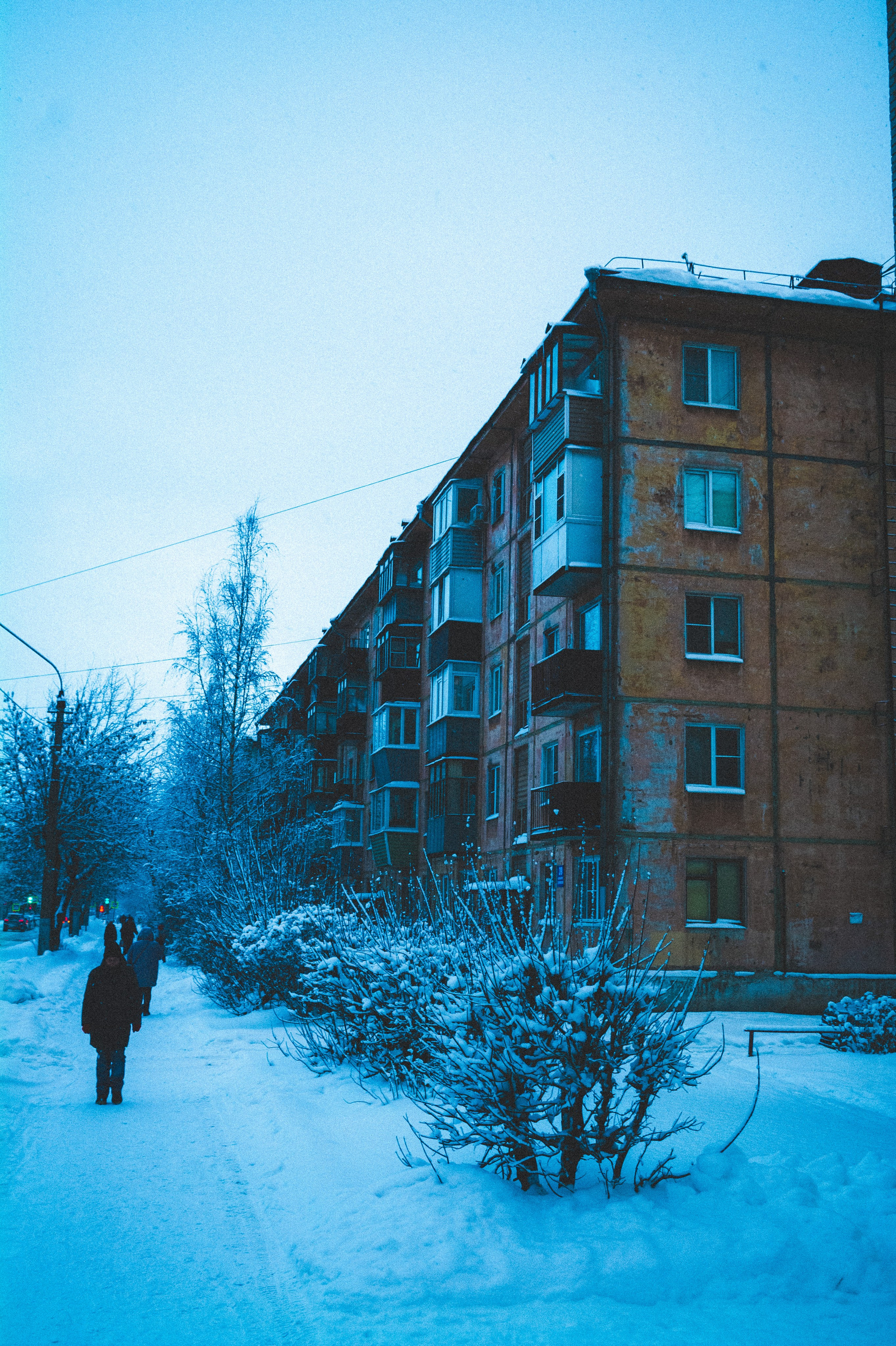 24.35. Den Mirov — Photographer, Musician