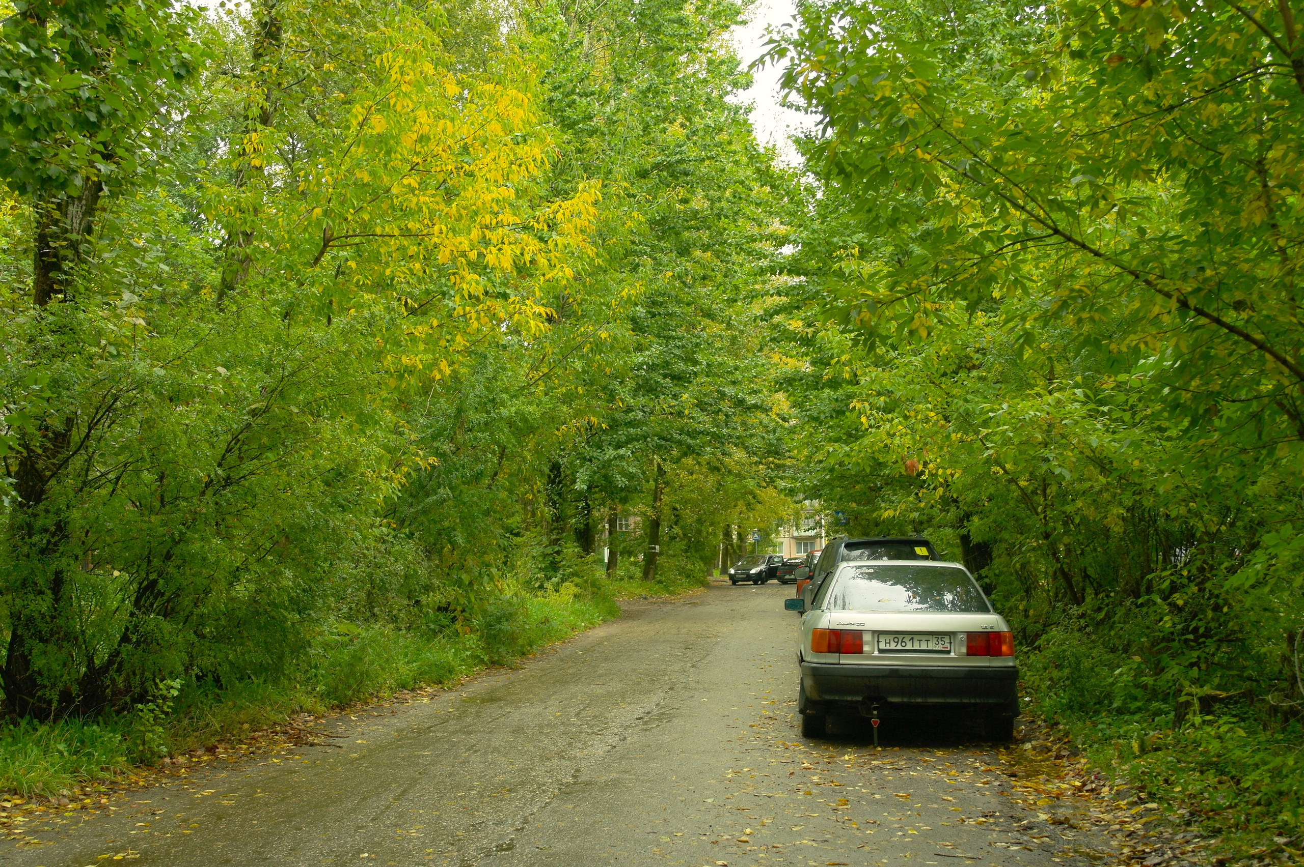 Сентябрь 2025. Den Mirov — Фотограф, Музыкант