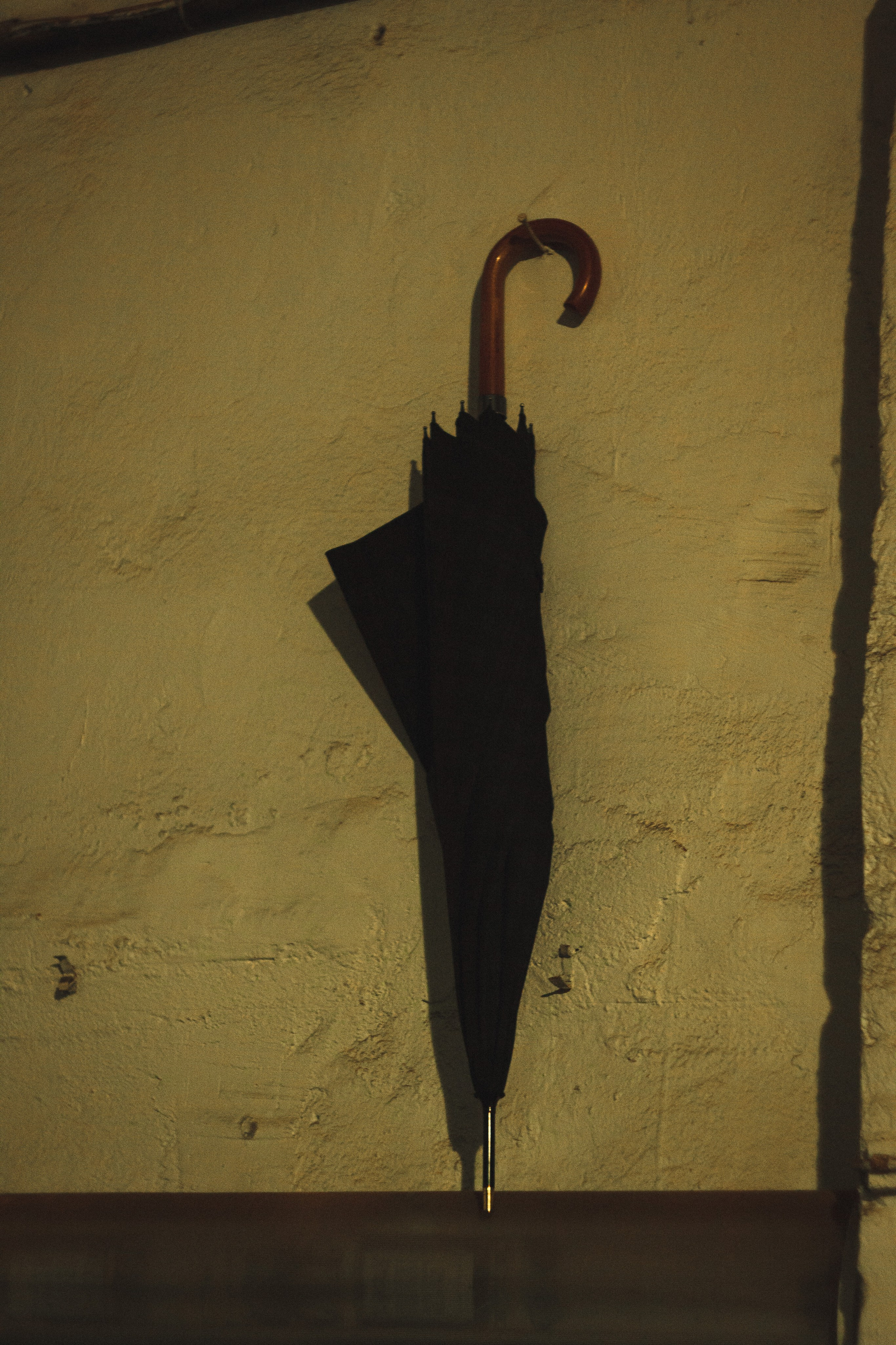 База. Den Mirov — Фотограф, Музыкант