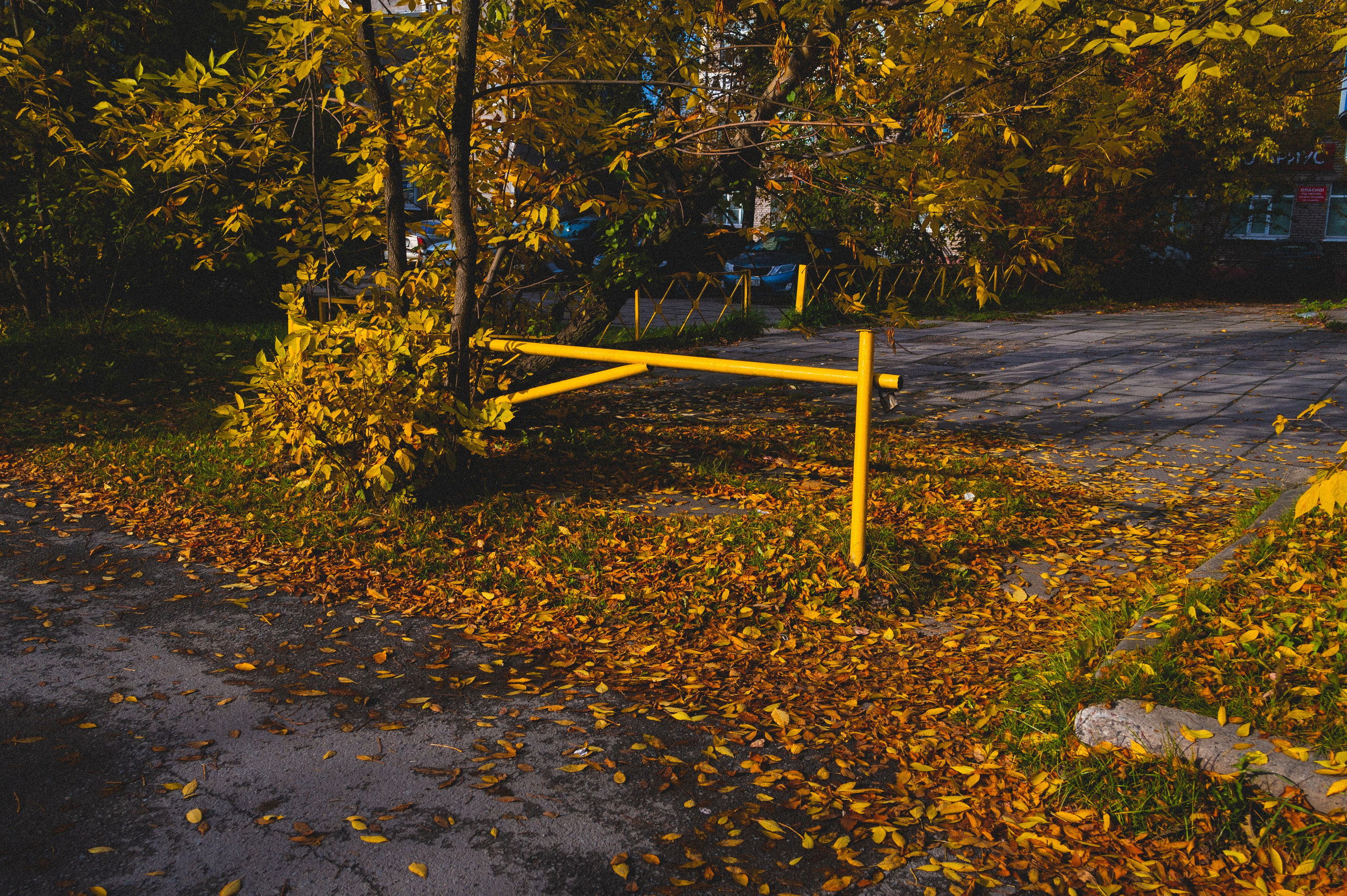 Октябрь 2025. Den Mirov — Фотограф, Музыкант