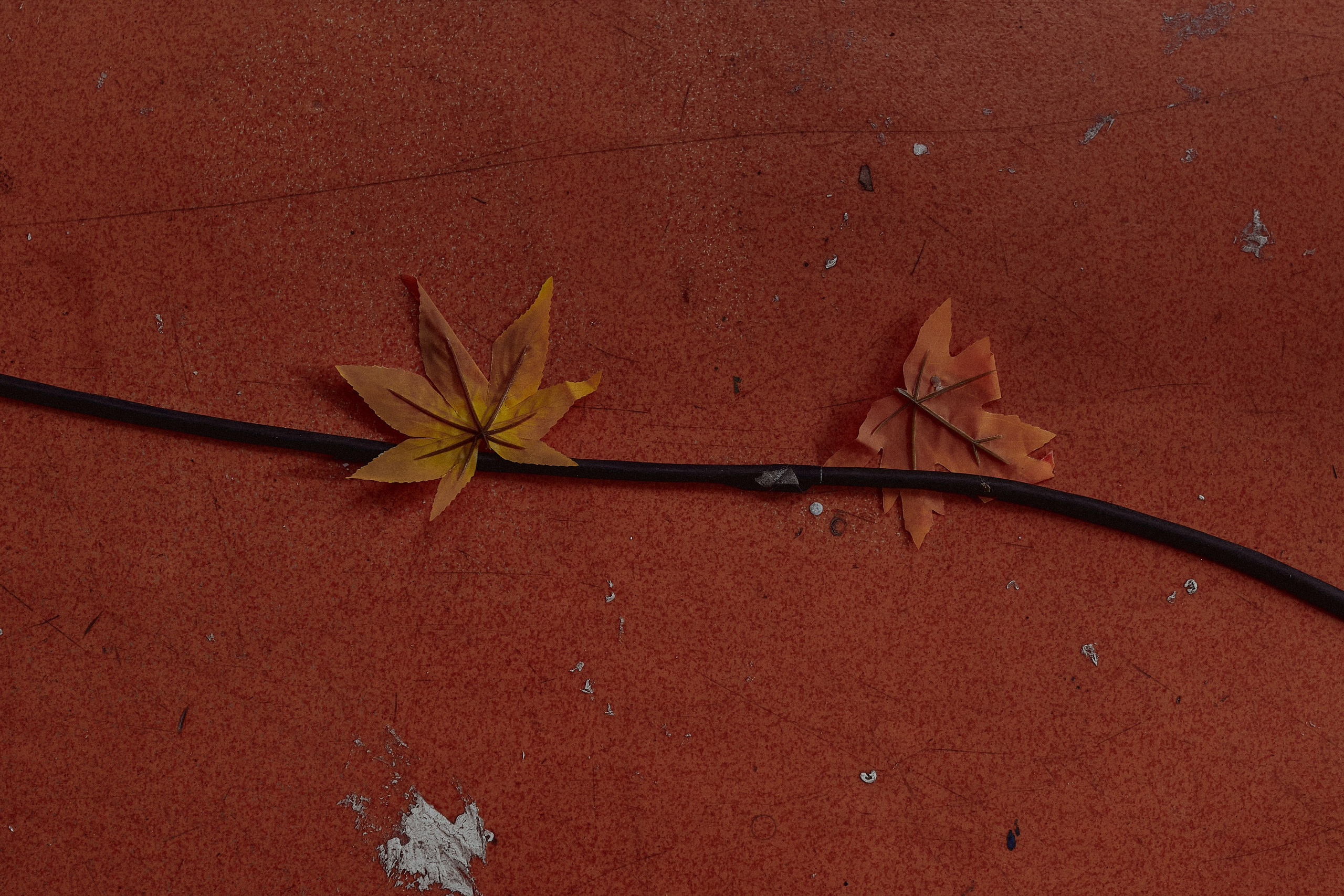 Бэкстейдж. Фотограф и оператор мероприятий, концертов и портретов в городе Москва