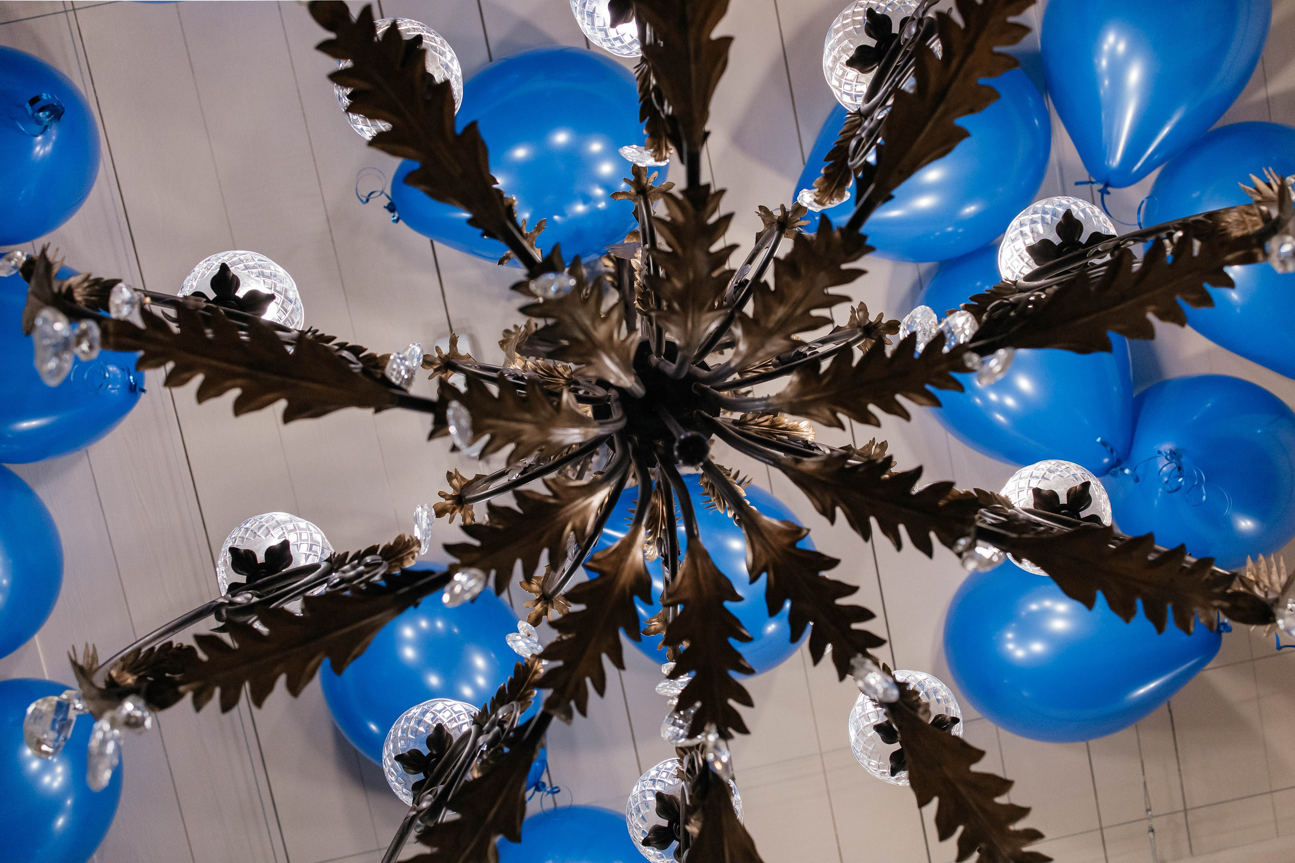 День рождение Лилии