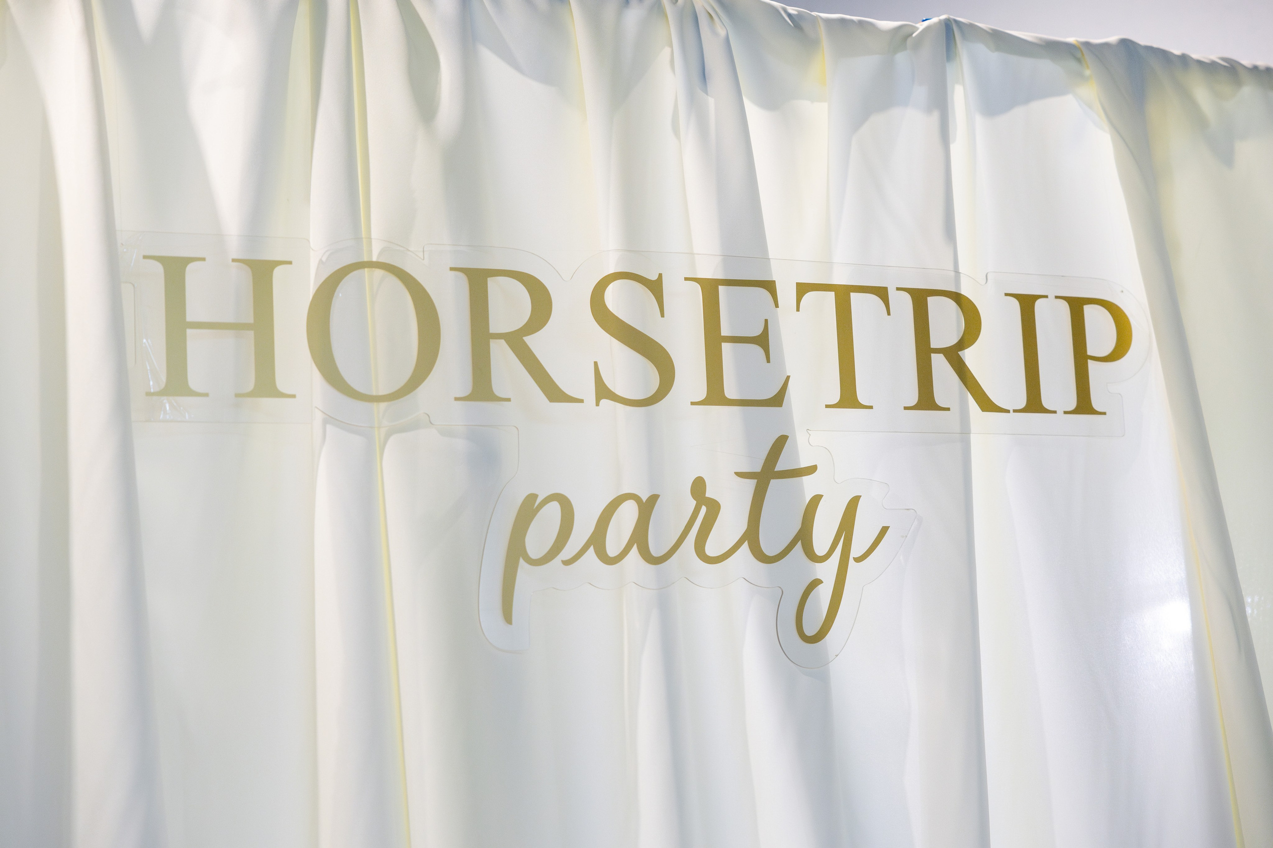 Корпоратив Horsetrip. Свадебный репортажный фотограф в Москве