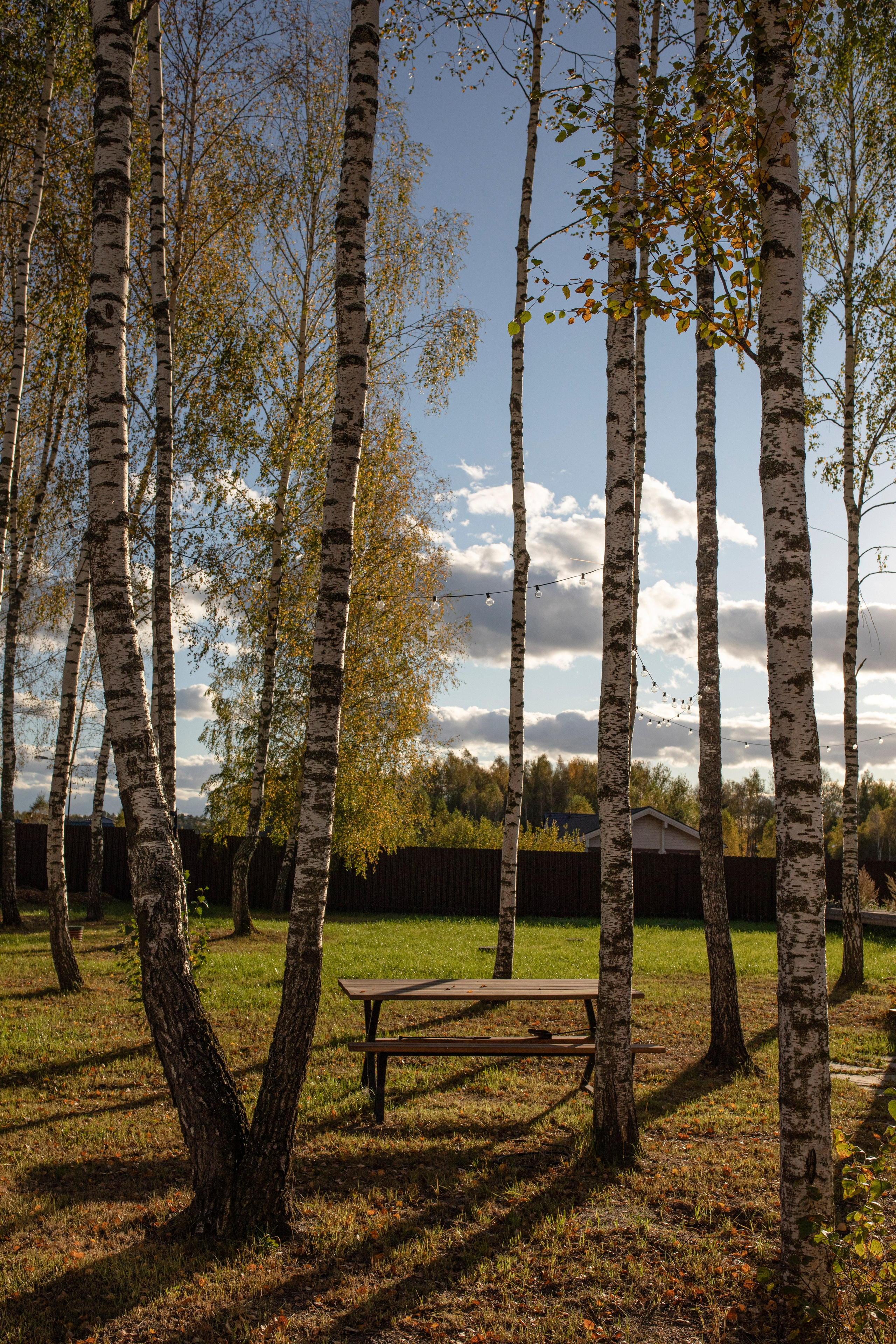 Брюгге. Ольга Пилант. АРТ, бэкстейдж, свадебная и семейная фотография, городской портрет, интерьерная фотография