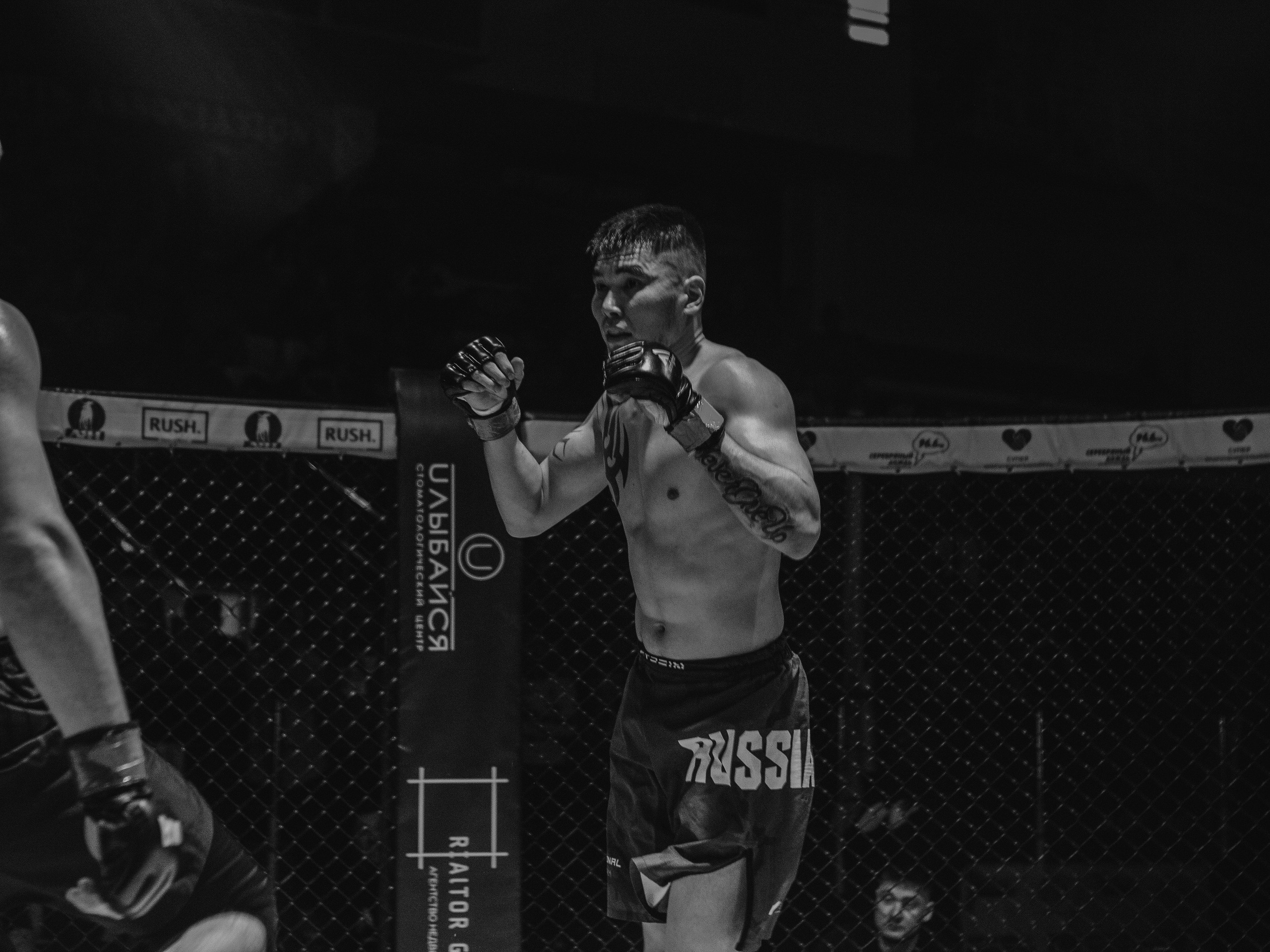 SFL 17 | Siberian Fighting League. Портретный фотограф в Москве Дарья Цезария