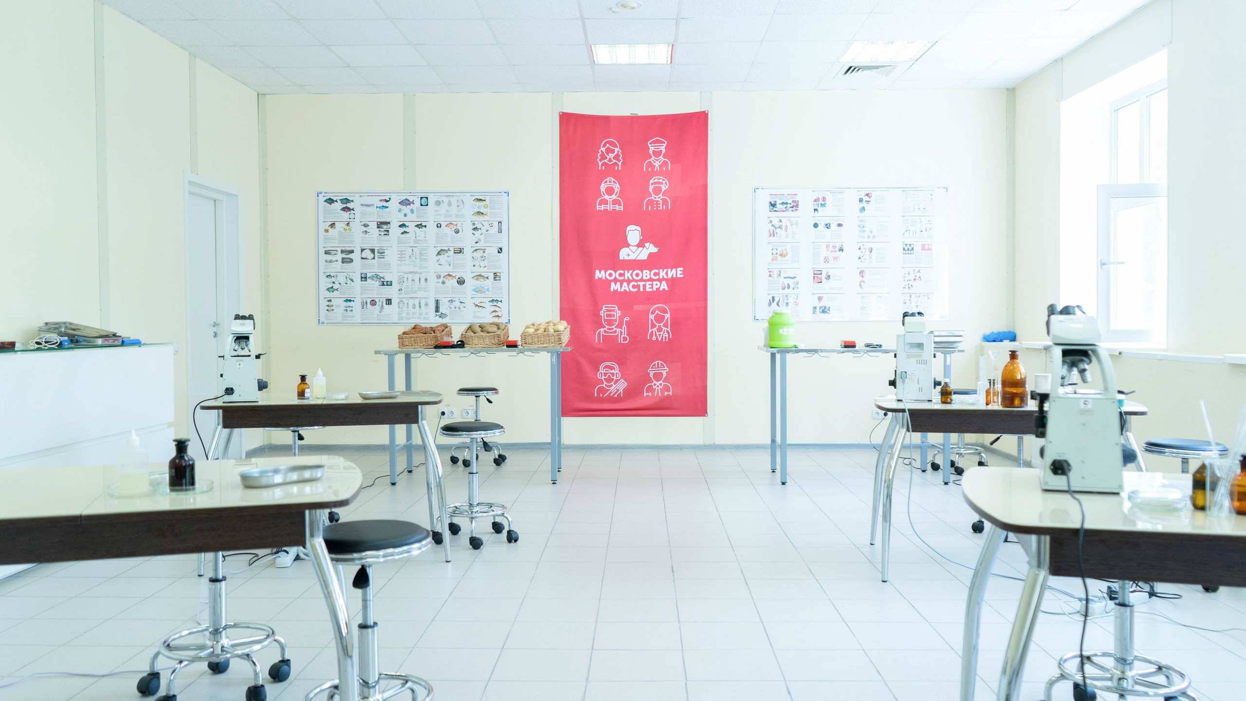 Московские мастера «Ветеринары». Фотограф, оператор-монтажер, продюсер медиа проектов в Москве