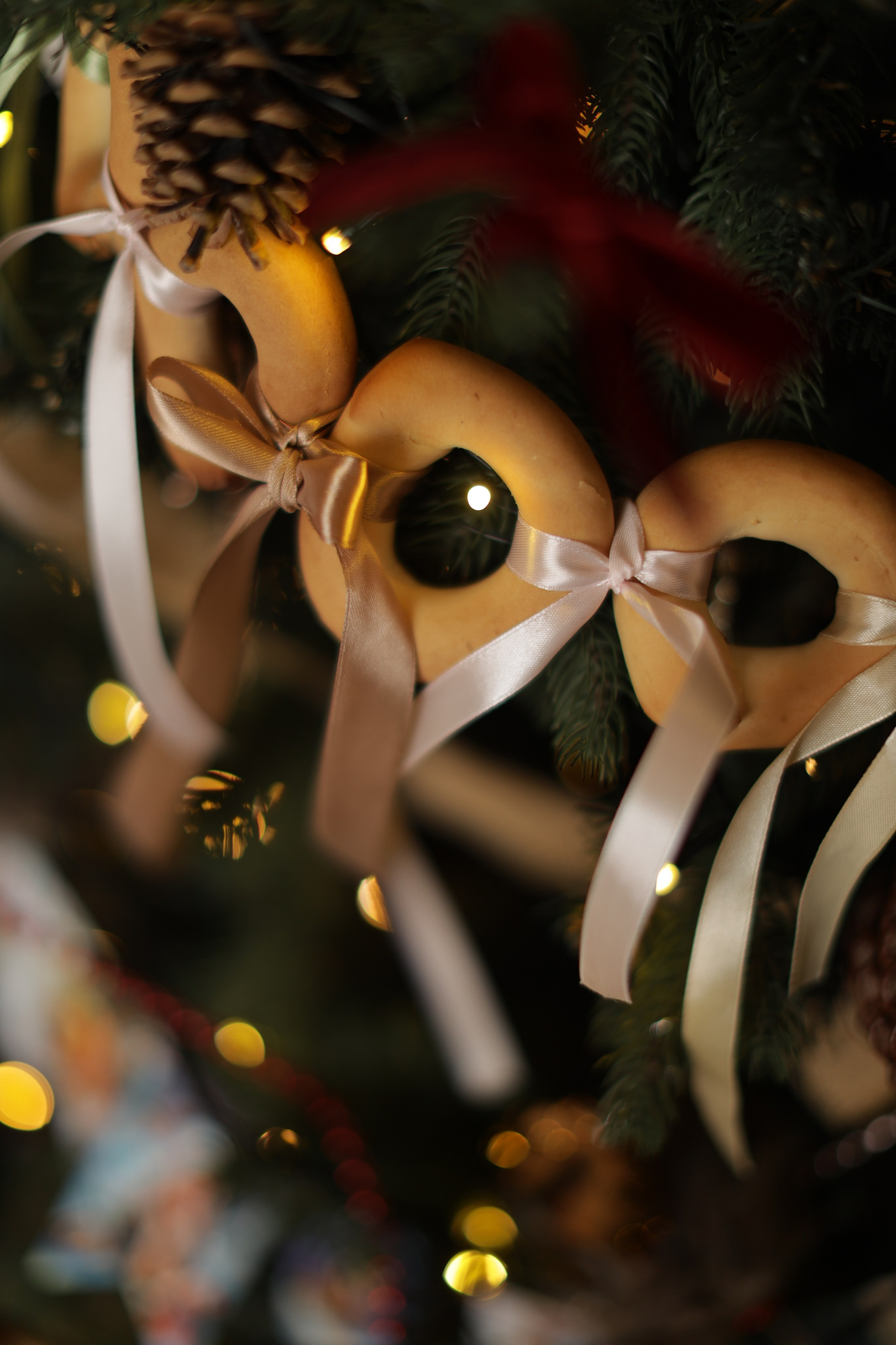 Фотостудия «Роял» зал Теплица. Свадебный фотограф в Ростове Александра Груздева