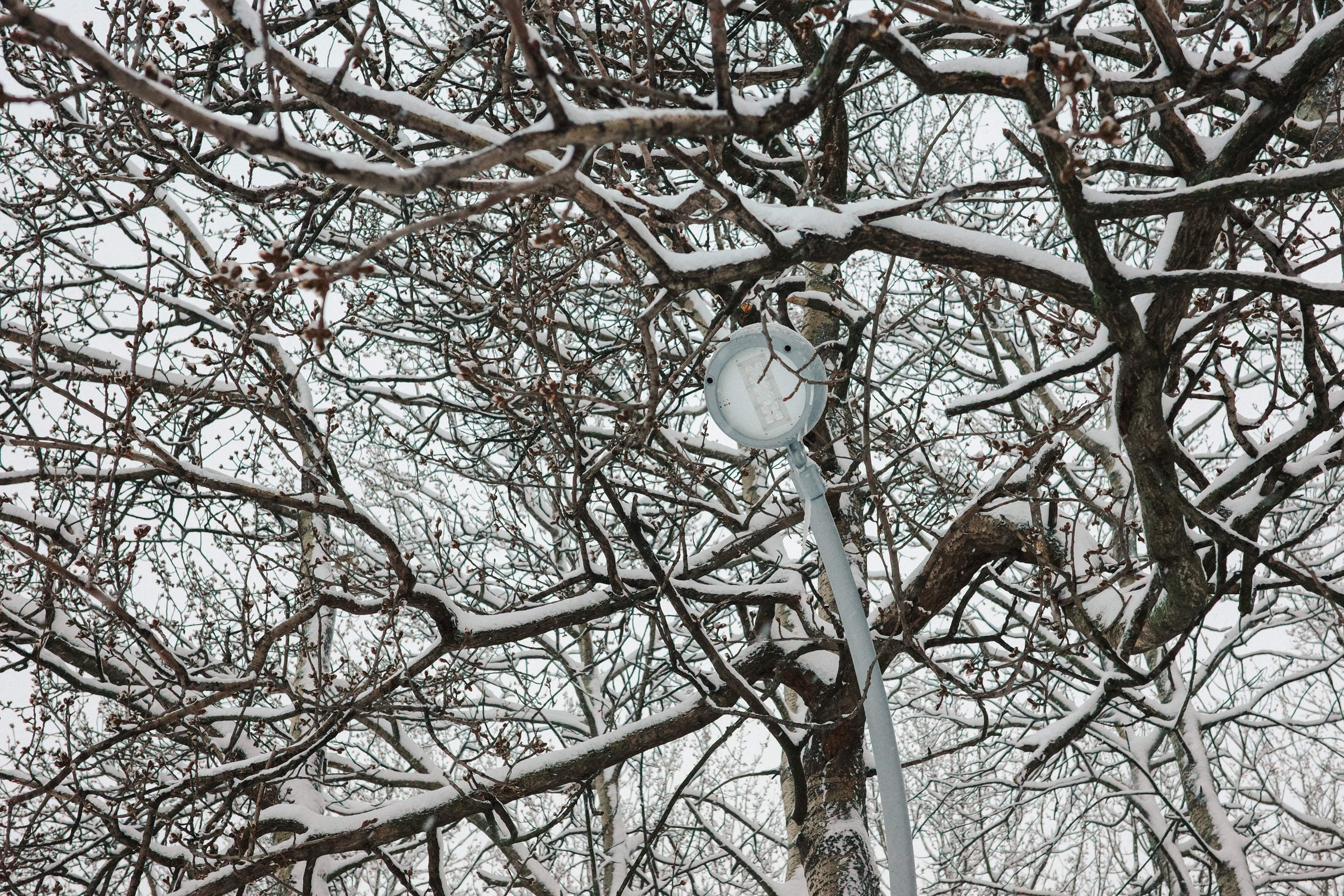 2025.01. Фотограф Алексей Алексеев